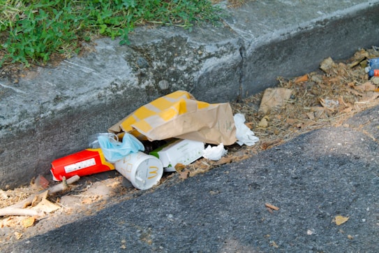 Trash is scattered along the side of a curb, including fast food packaging, cups, and paper bags. Dry leaves and a branch are also present on the ground.