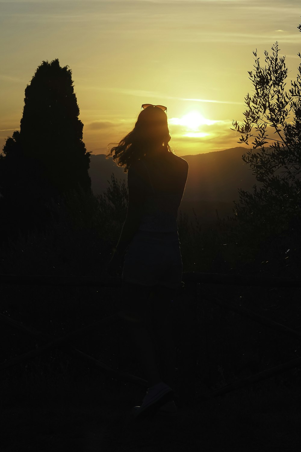 a silhouette of a woman with her hair blowing in the wind