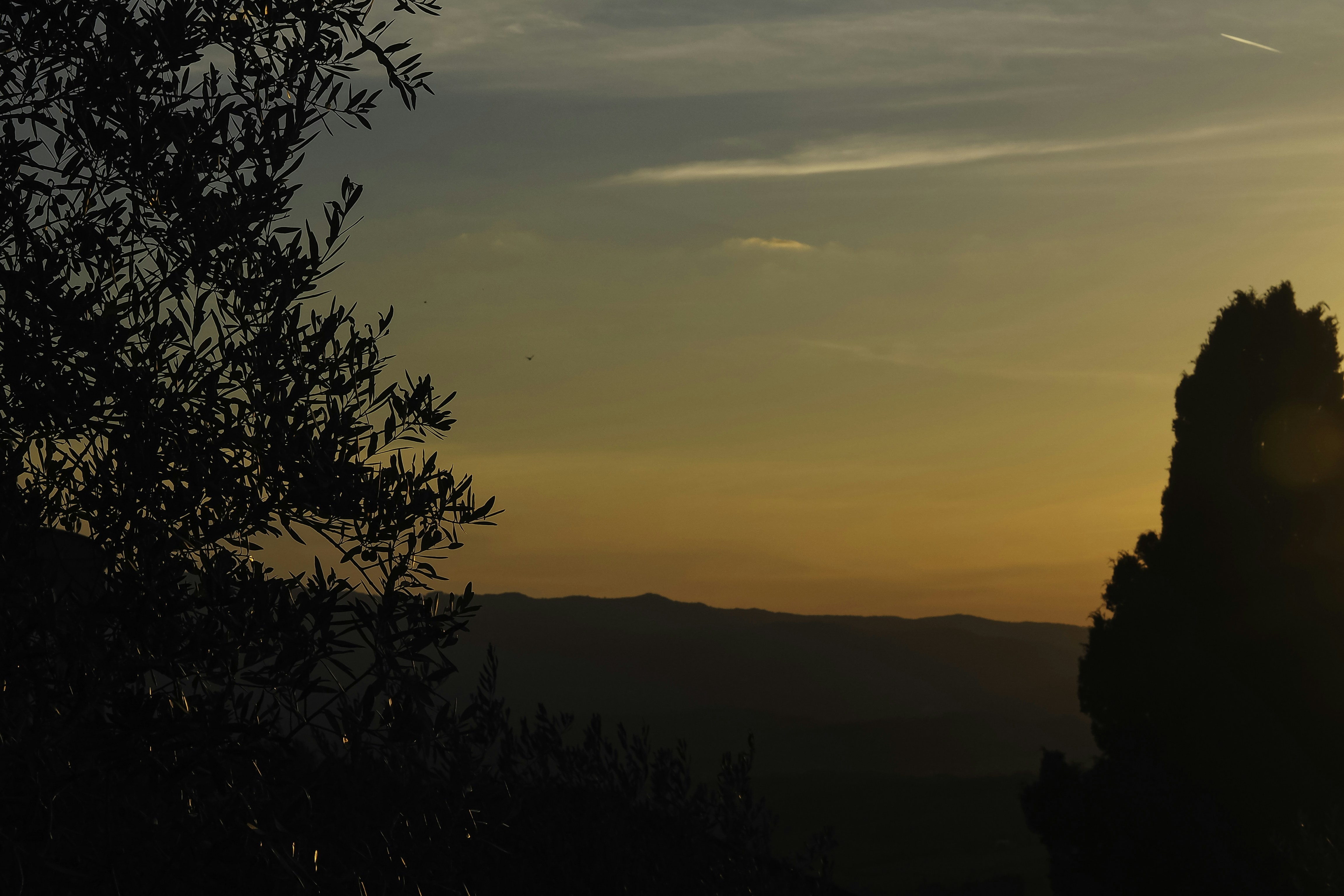 Photo by laurachouette