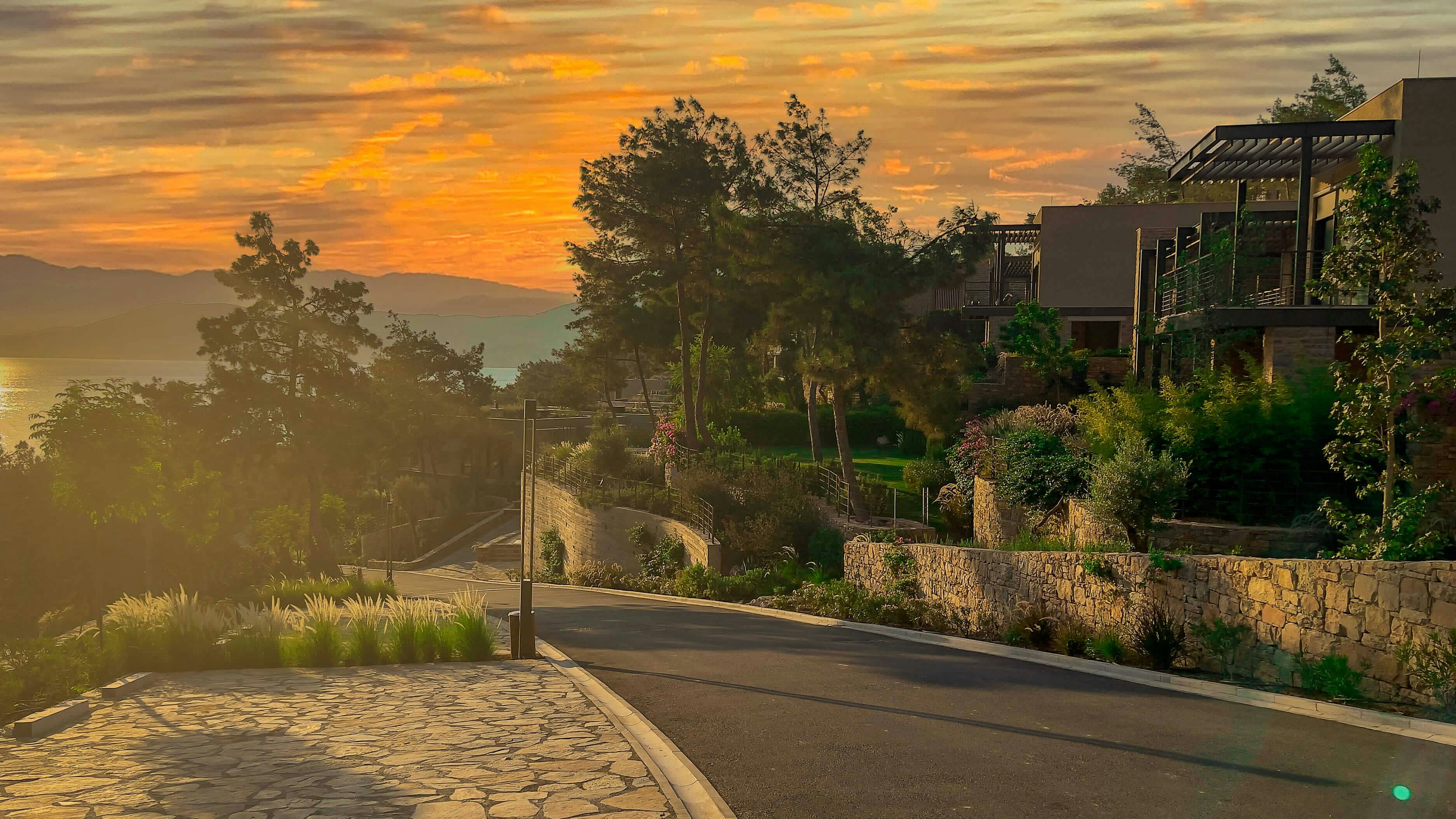 a street that has a light pole on the side of it