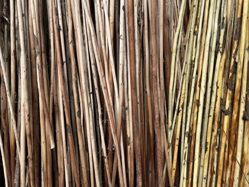Eine Nahaufnahme eines Bündels Bambusstäbe