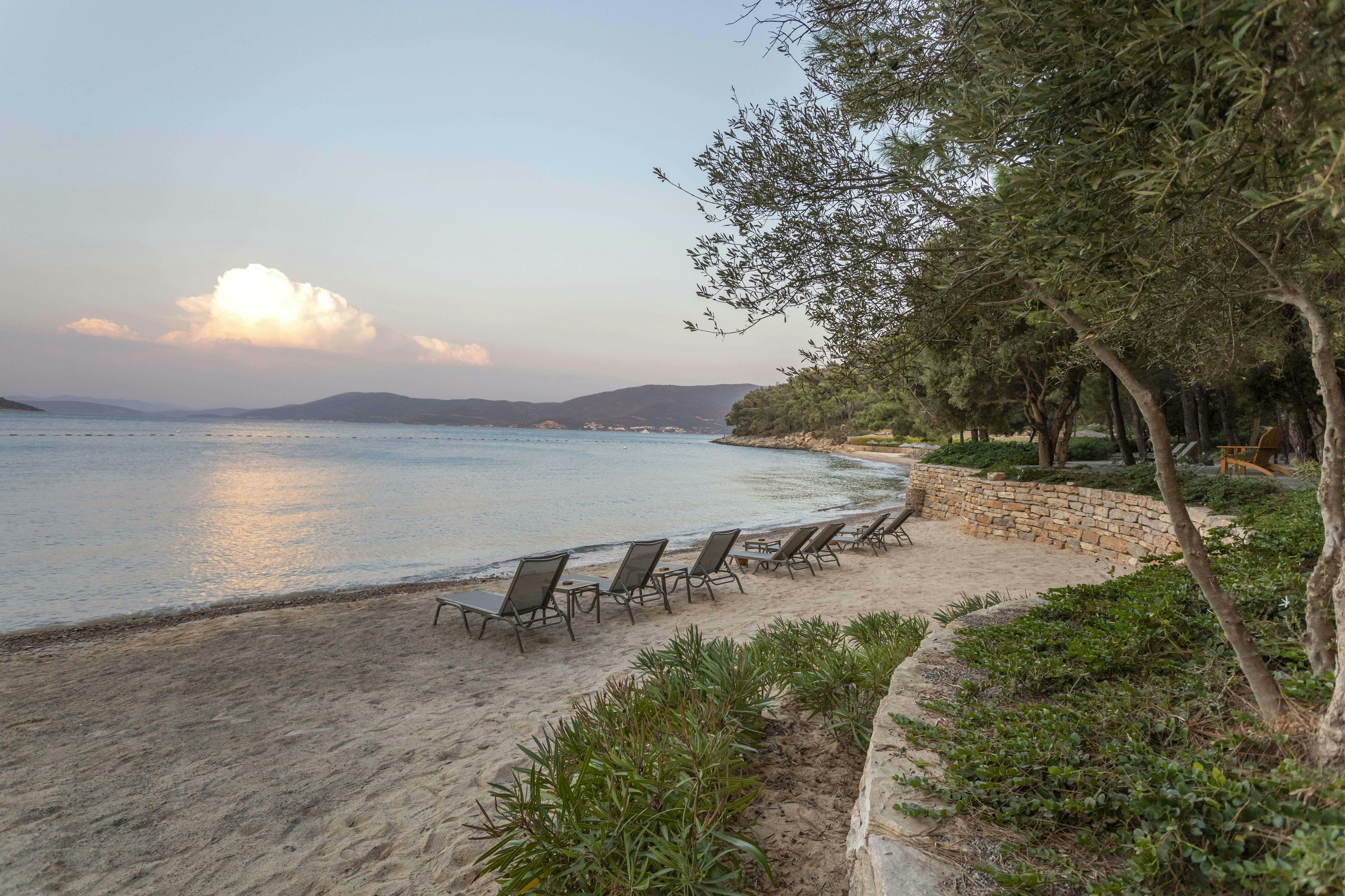 a row of lawn chairs sitting on top of a sandy beach