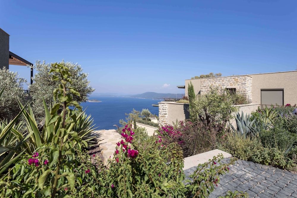 a house with a view of the ocean