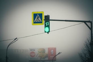 A traffic light is displaying a green signal with a digital countdown showing 57 seconds. Adjacent to the traffic light is a pedestrian crossing sign with a stylized figure walking. In the background, faint outlines of advertisements and structures are visible through the foggy atmosphere, indicating an urban setting.