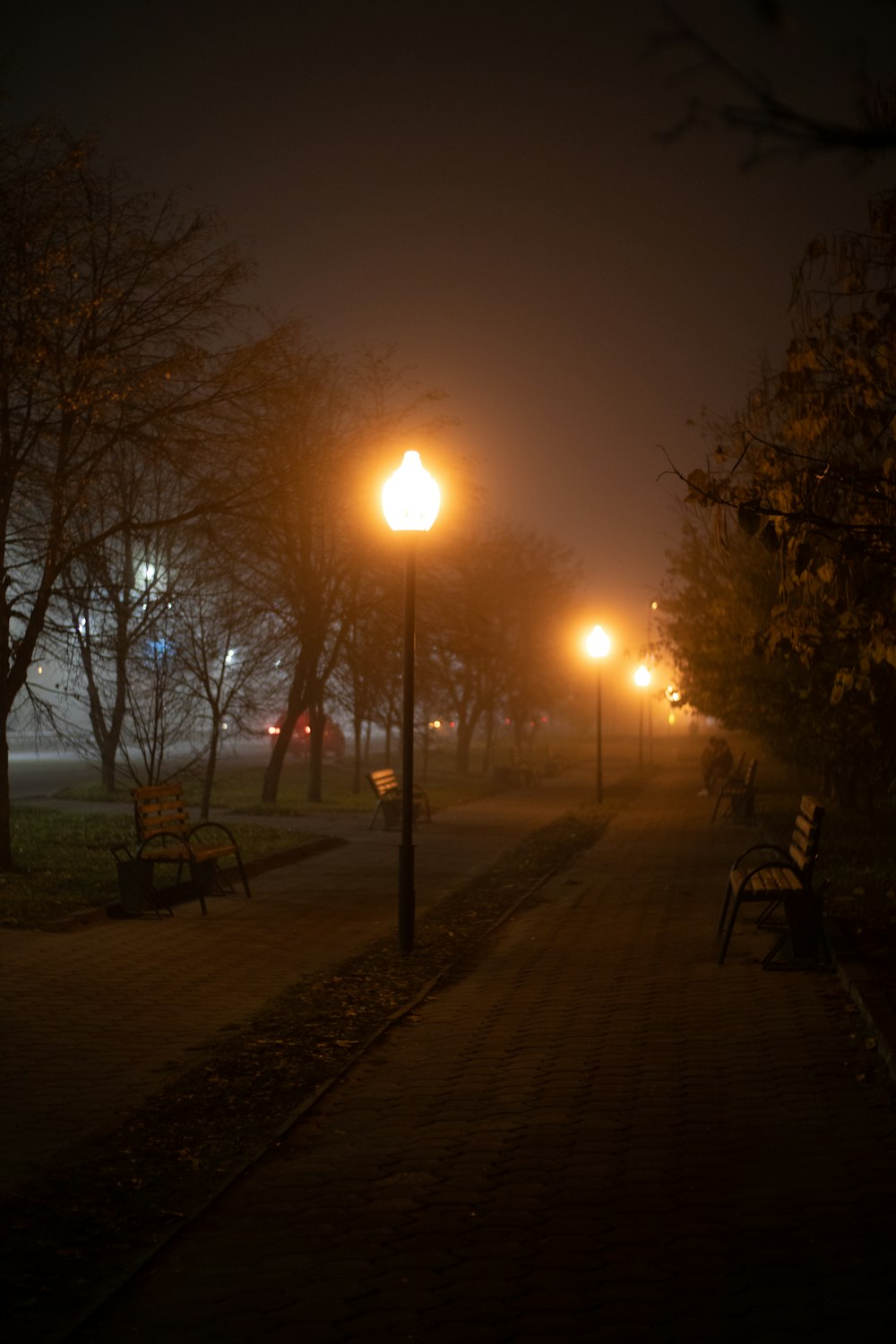 a park bench sitting on the side of a road at night