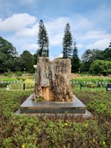 A large tree stump stands on a concrete base surrounded by a neatly maintained garden. Two tall evergreen trees rise in the background under a partly cloudy blue sky. The area is lush with various other plants and shrubs.