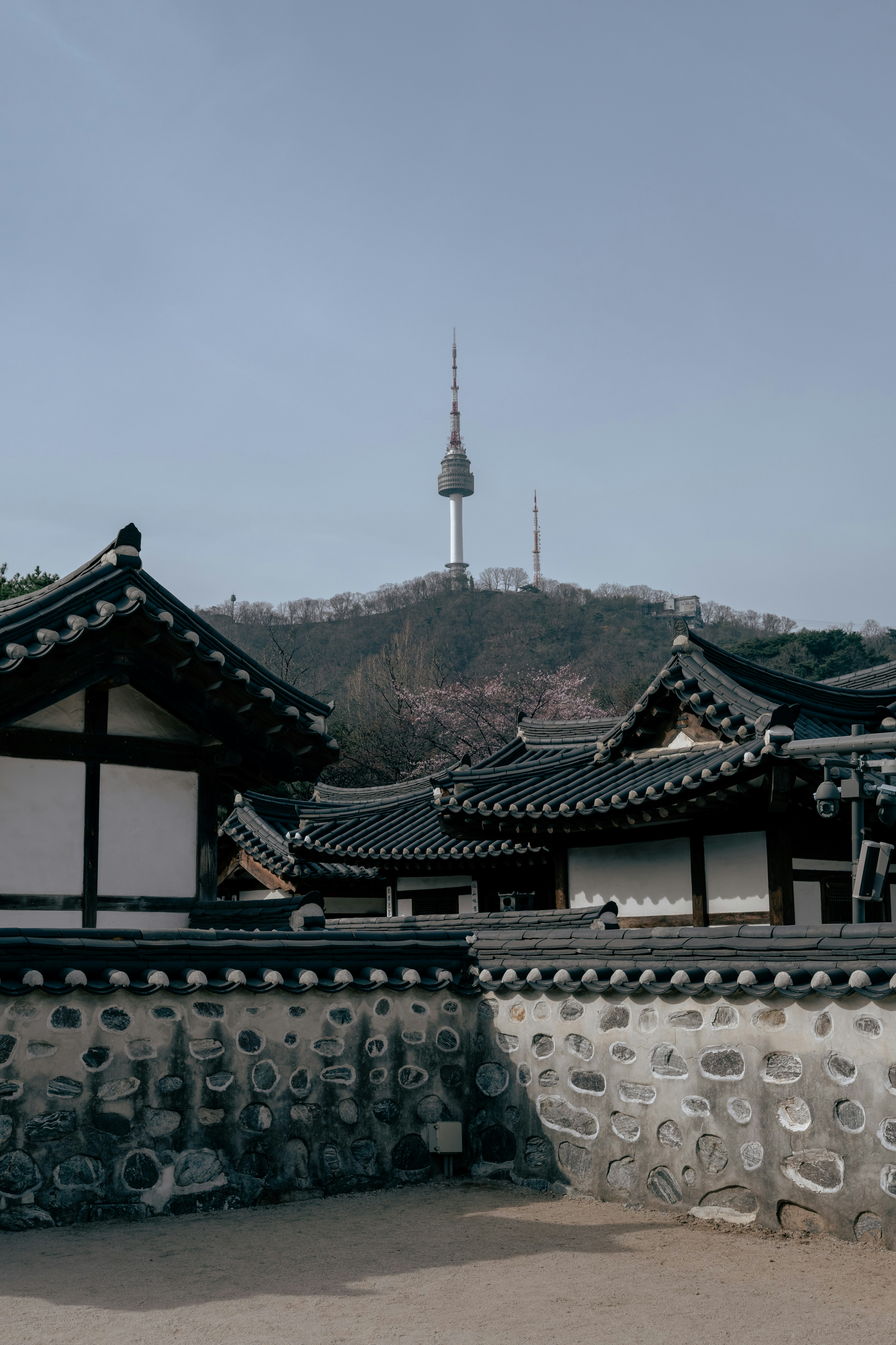 Luggage and Accessibility Features