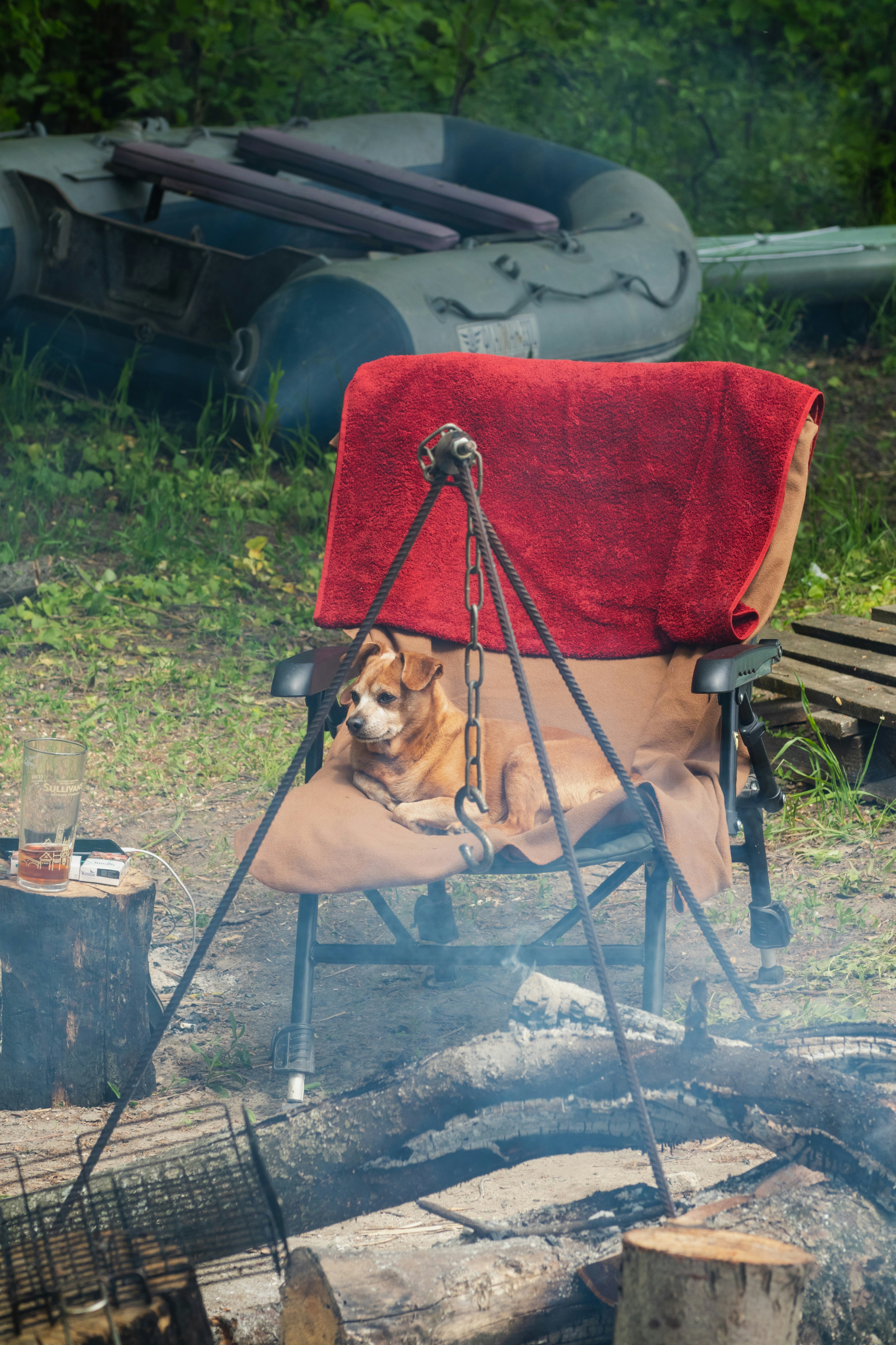 Dog on a camping pet bed outdoors