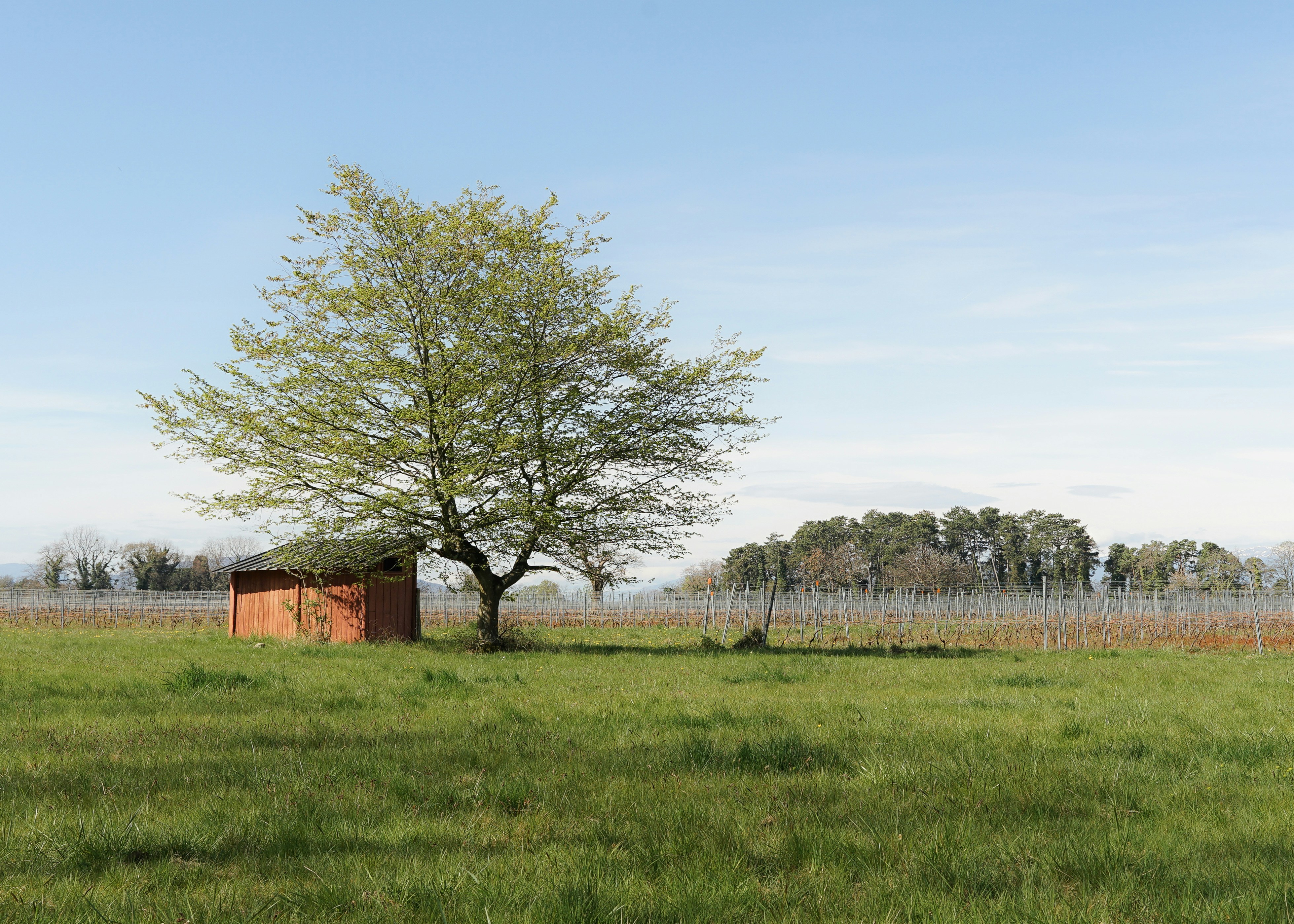 Photo by floriancordier