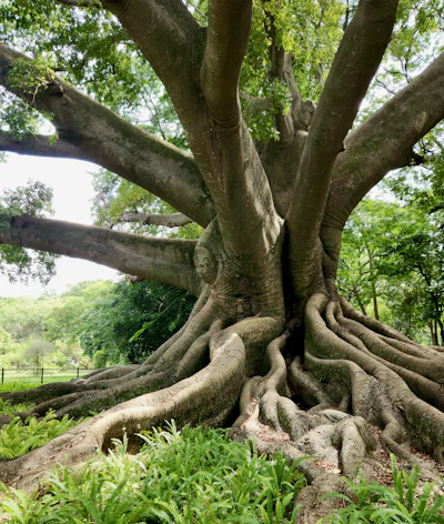Karnataka