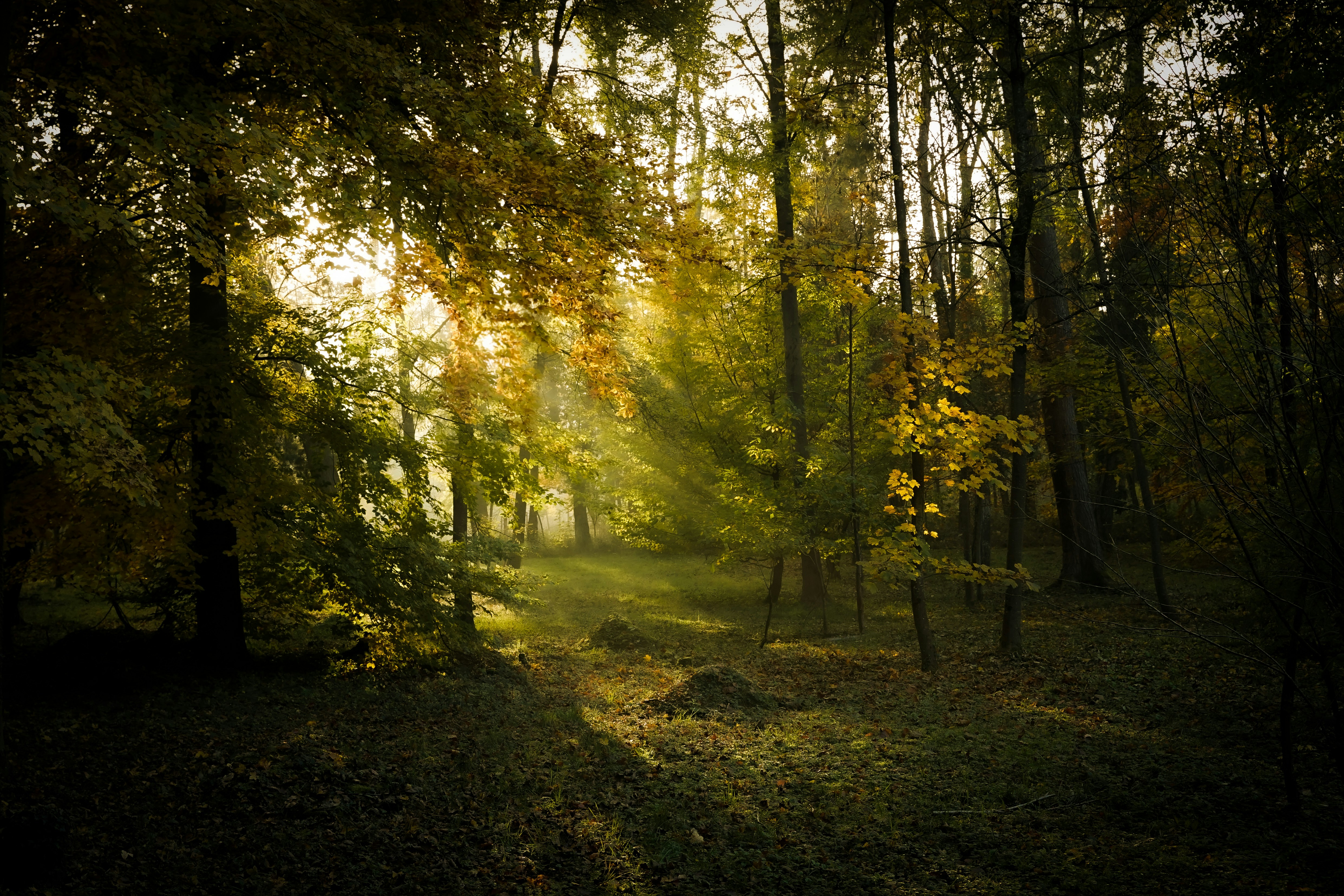 Photo by floriancordier