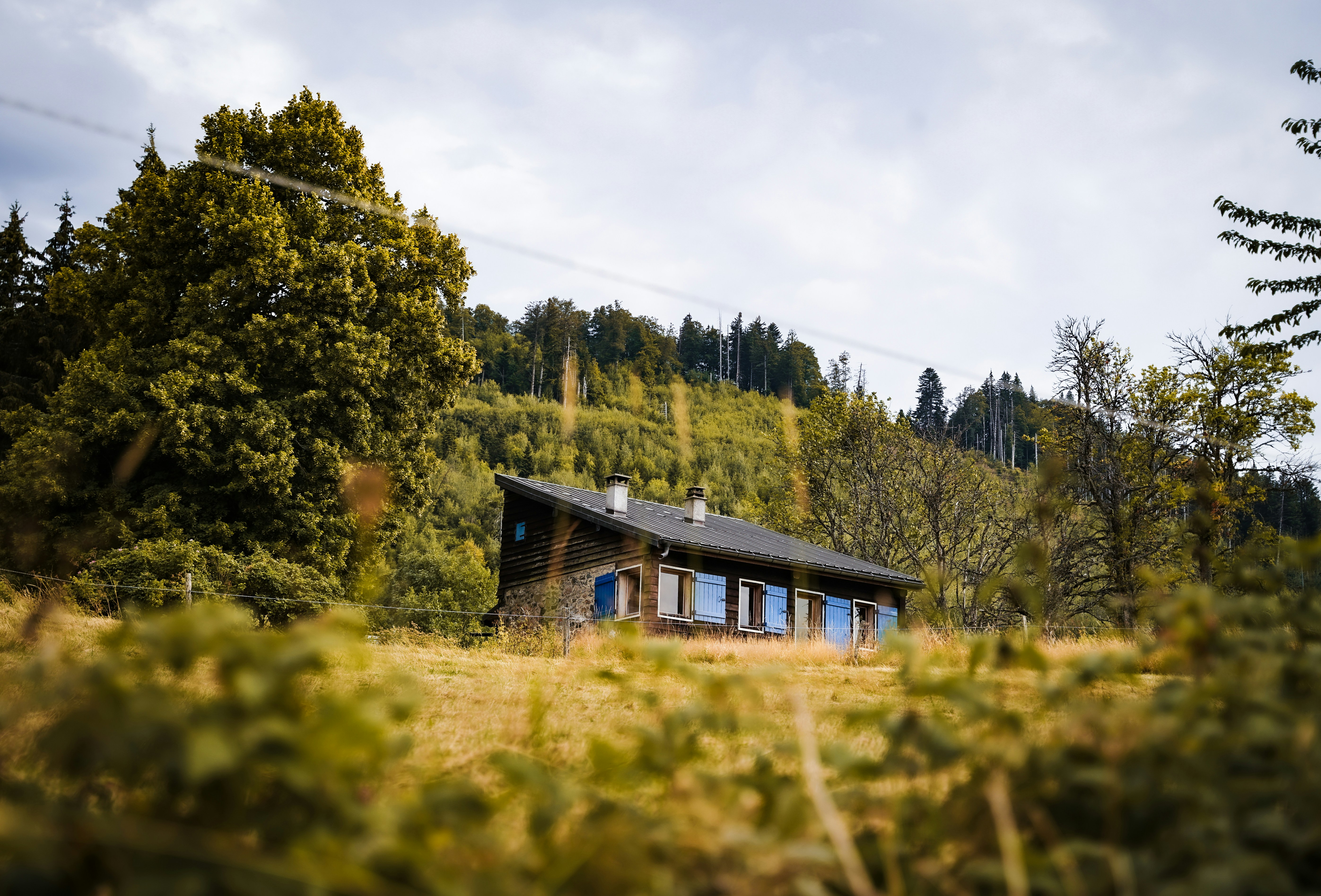 Photo by floriancordier