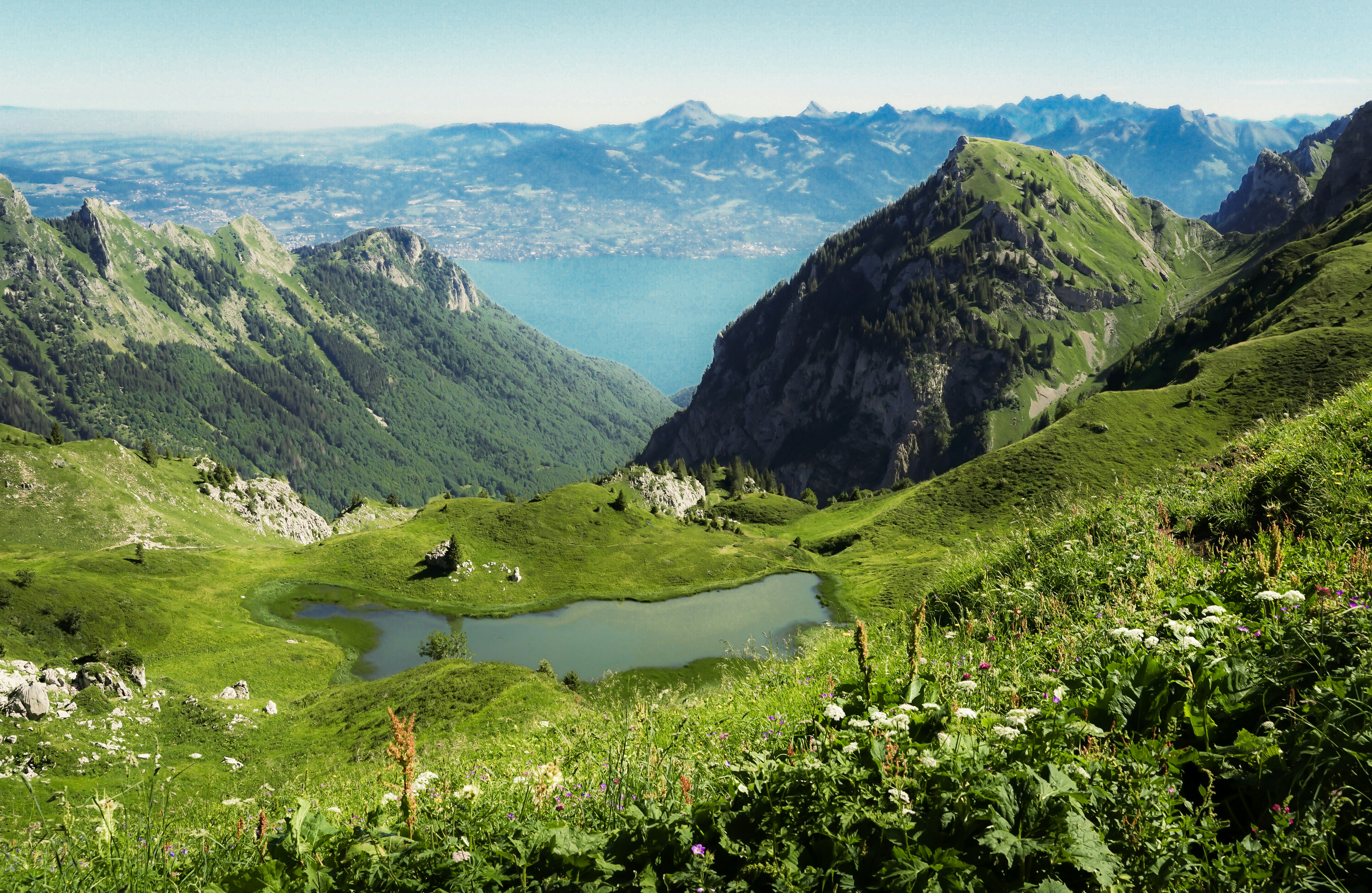 Photo by floriancordier