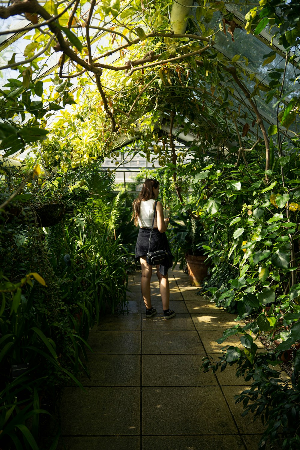 a woman walking through a lush green forest