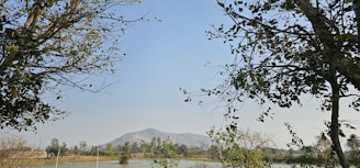 A serene landscape symbolizing financial growth and wisdom.