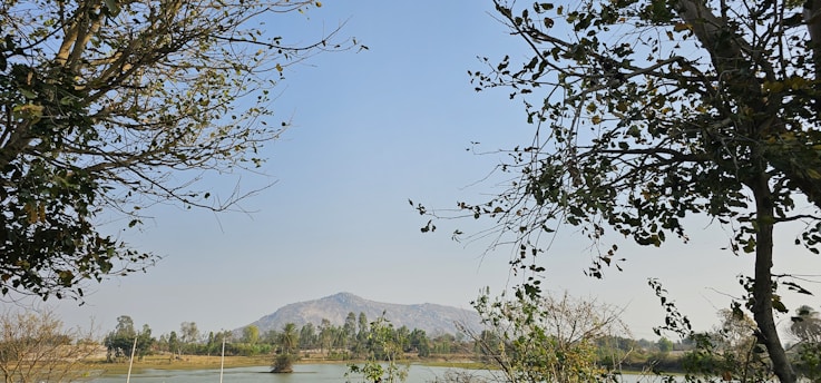 A serene landscape symbolizing financial growth and wisdom.