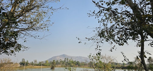 A serene landscape representing gradual wealth-building.