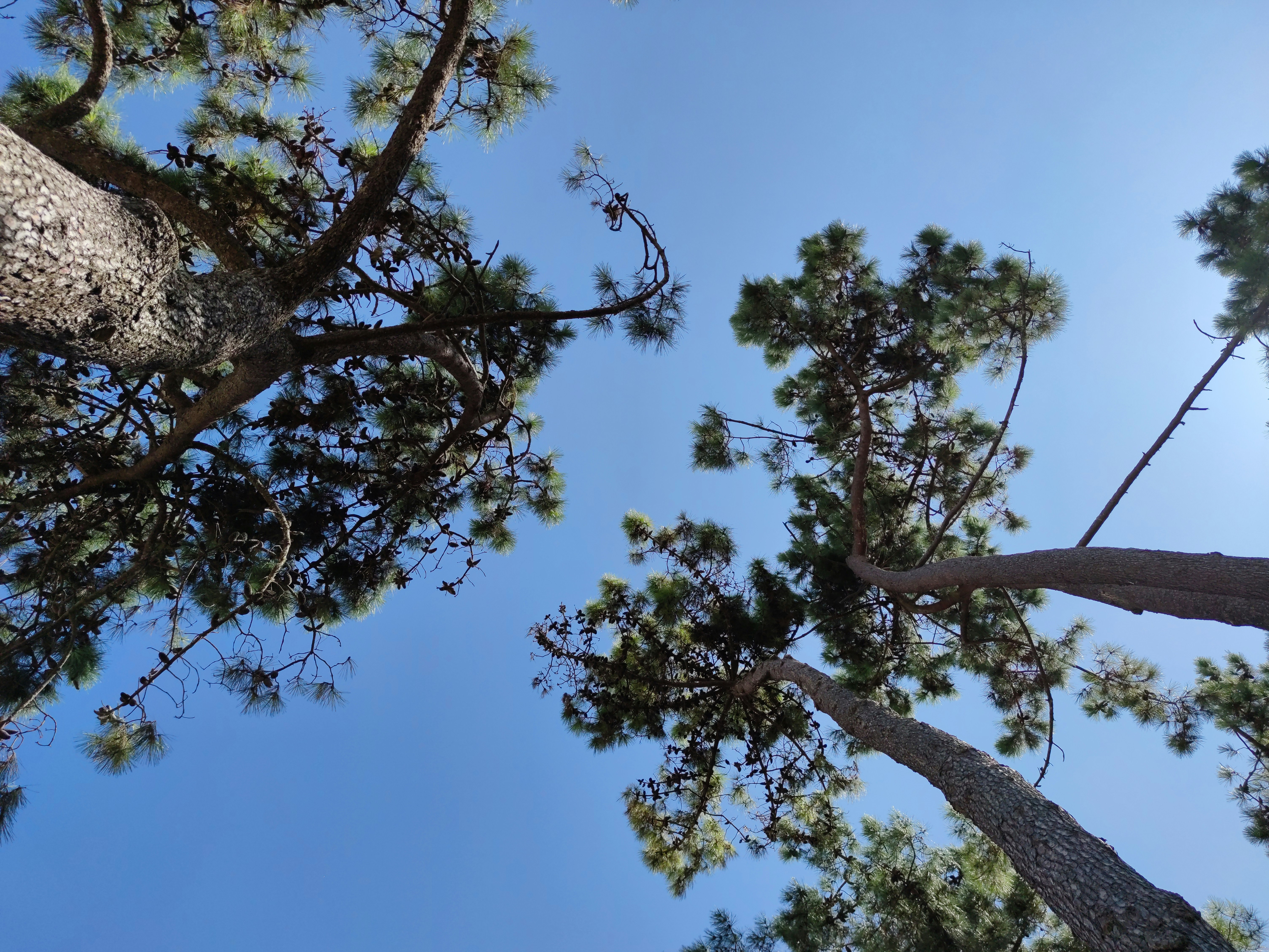 Photo by jmalonsoabalo