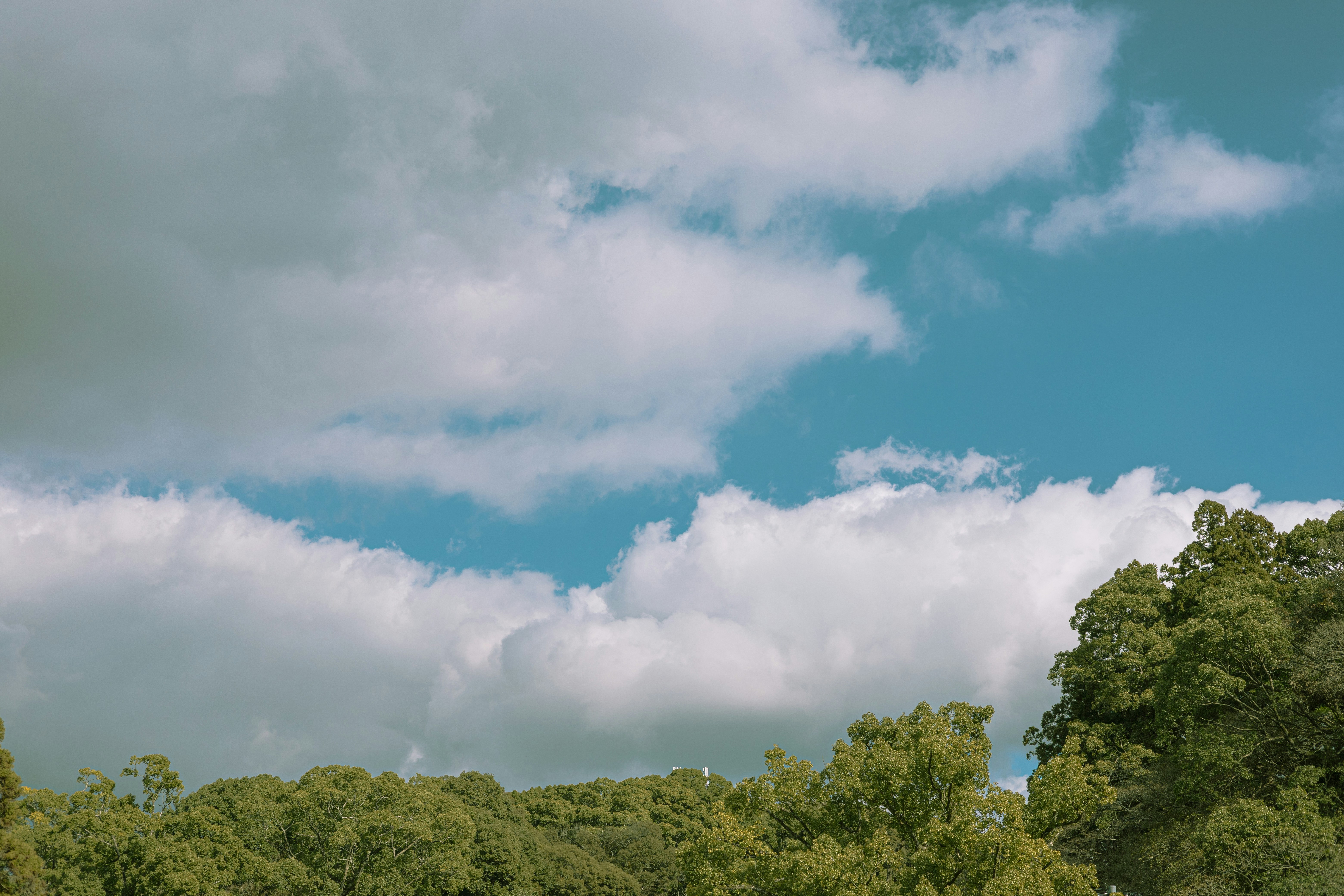 Photo by parkseongjin