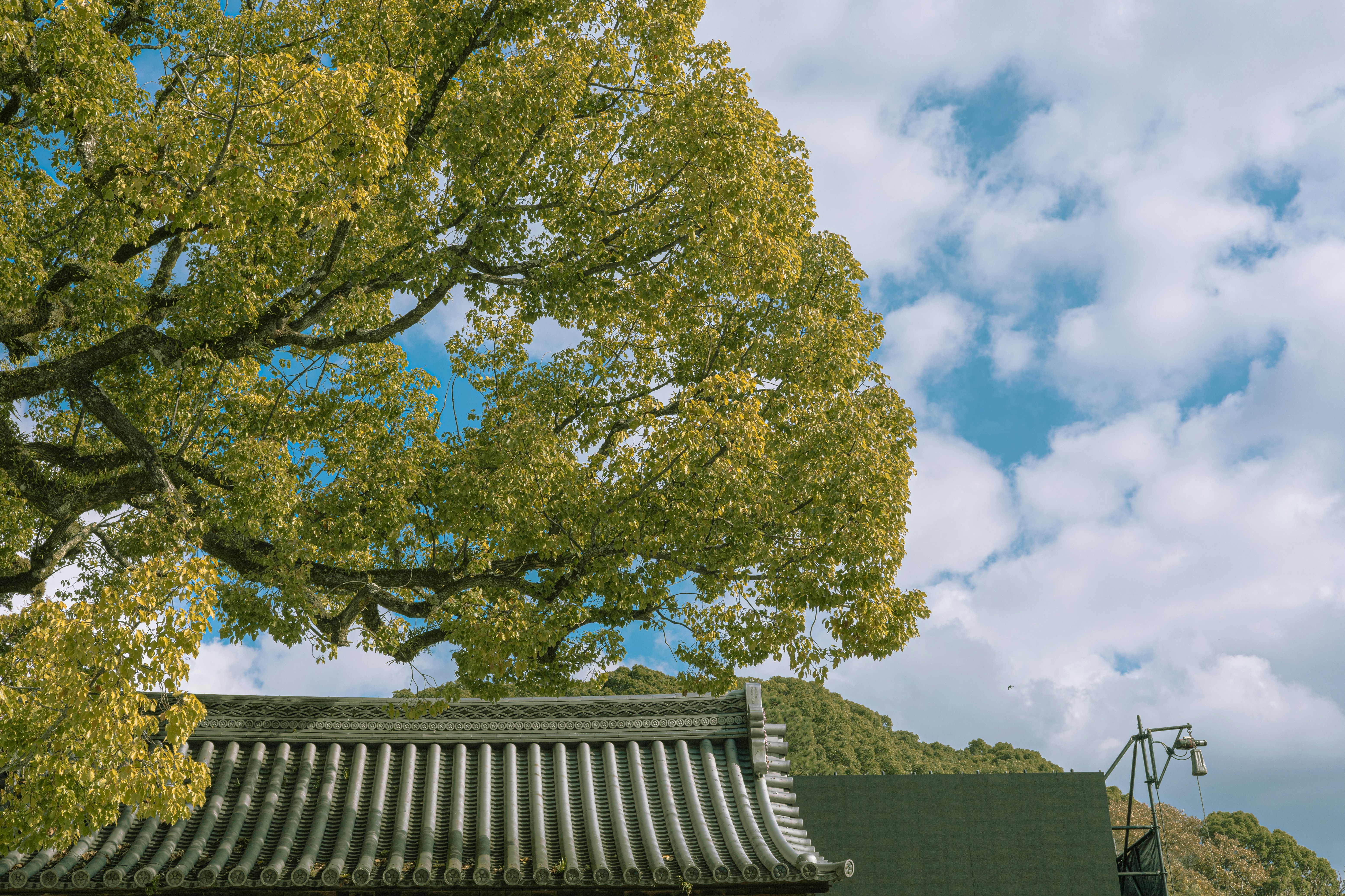 Photo by parkseongjin