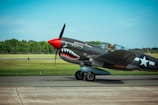 A classic military aircraft is parked on a tarmac. The plane features a distinctive shark mouth design painted on its nose with the words 'American Dream' written above it. The aircraft is in a vivid green landscape, with a mix of clear blue sky and scattered clouds. Trees and grassy fields provide a natural background.