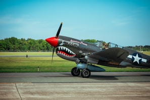 A classic military aircraft is parked on a tarmac. The plane features a distinctive shark mouth design painted on its nose with the words 'American Dream' written above it. The aircraft is in a vivid green landscape, with a mix of clear blue sky and scattered clouds. Trees and grassy fields provide a natural background.
