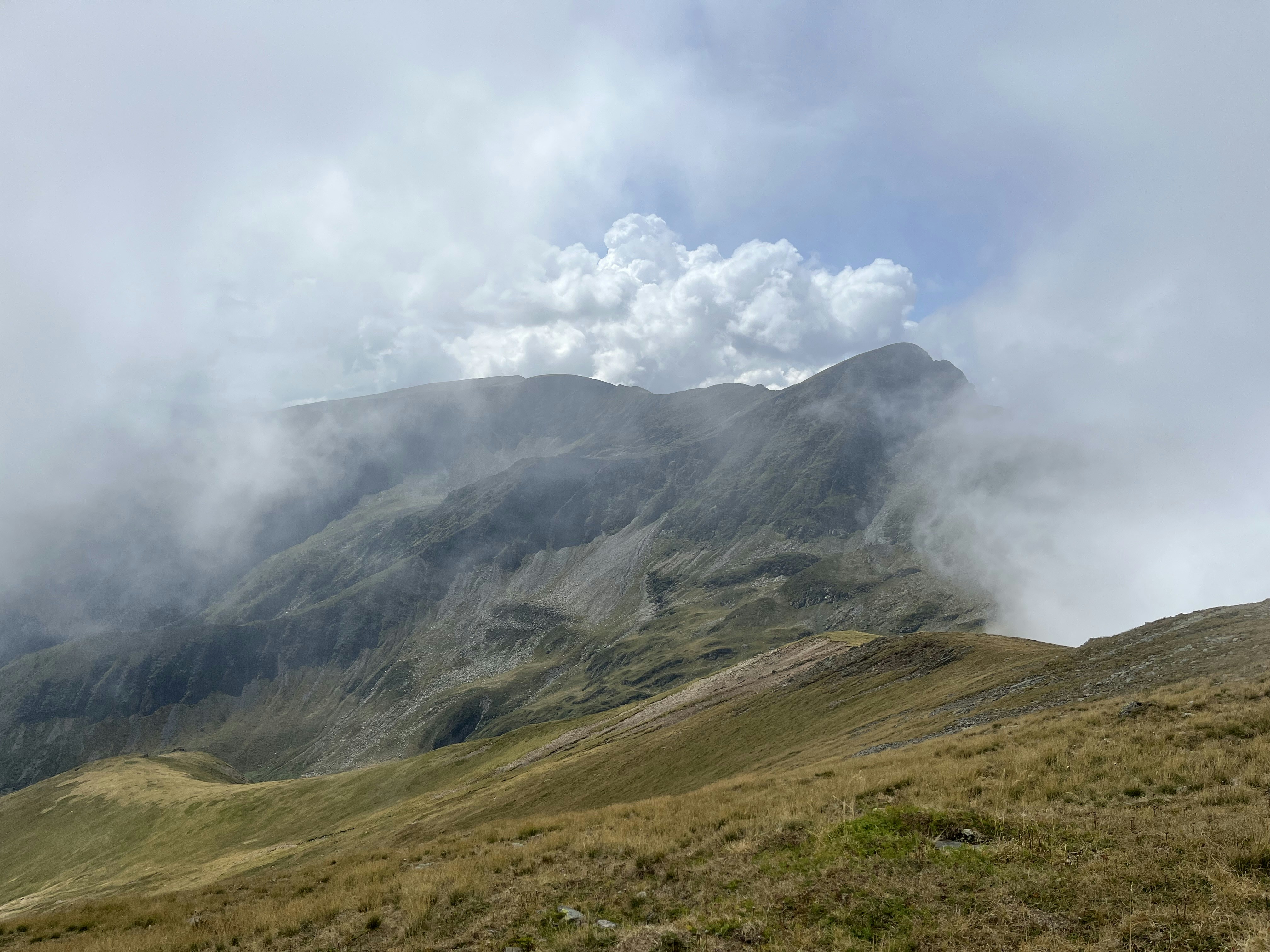 Photo by illes_cristi