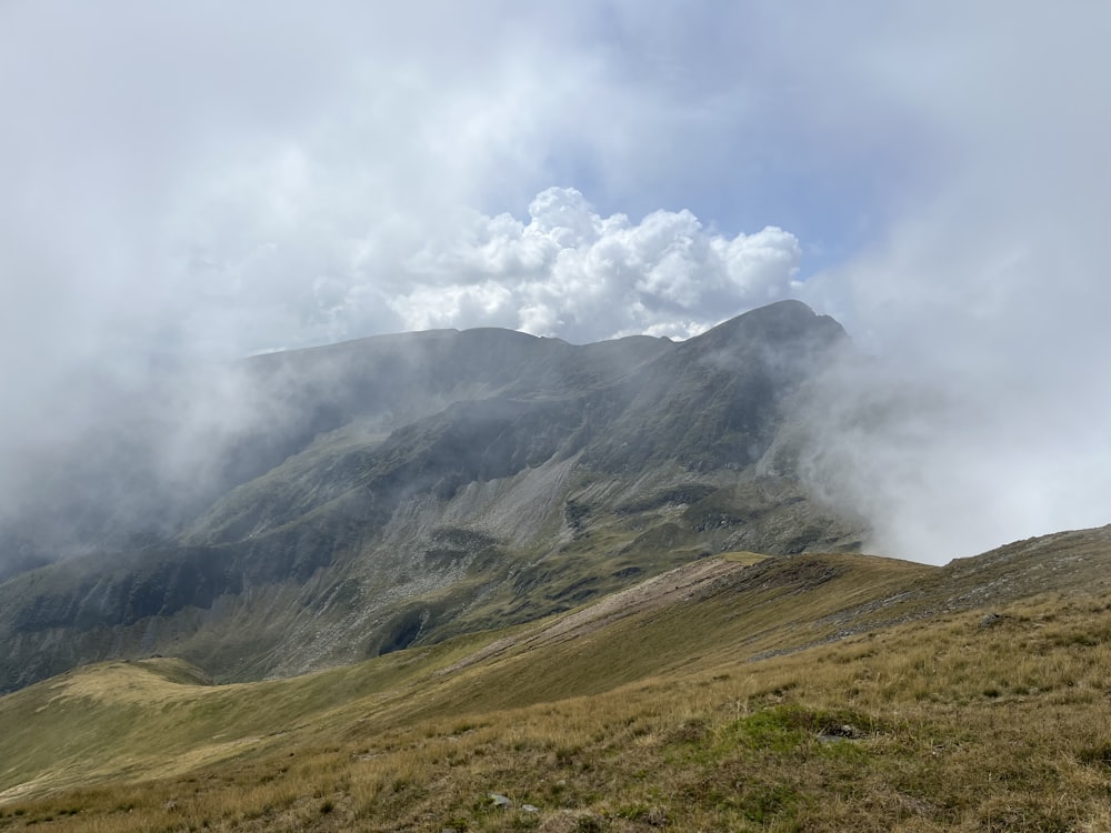 a grassy field with a mountain in the background