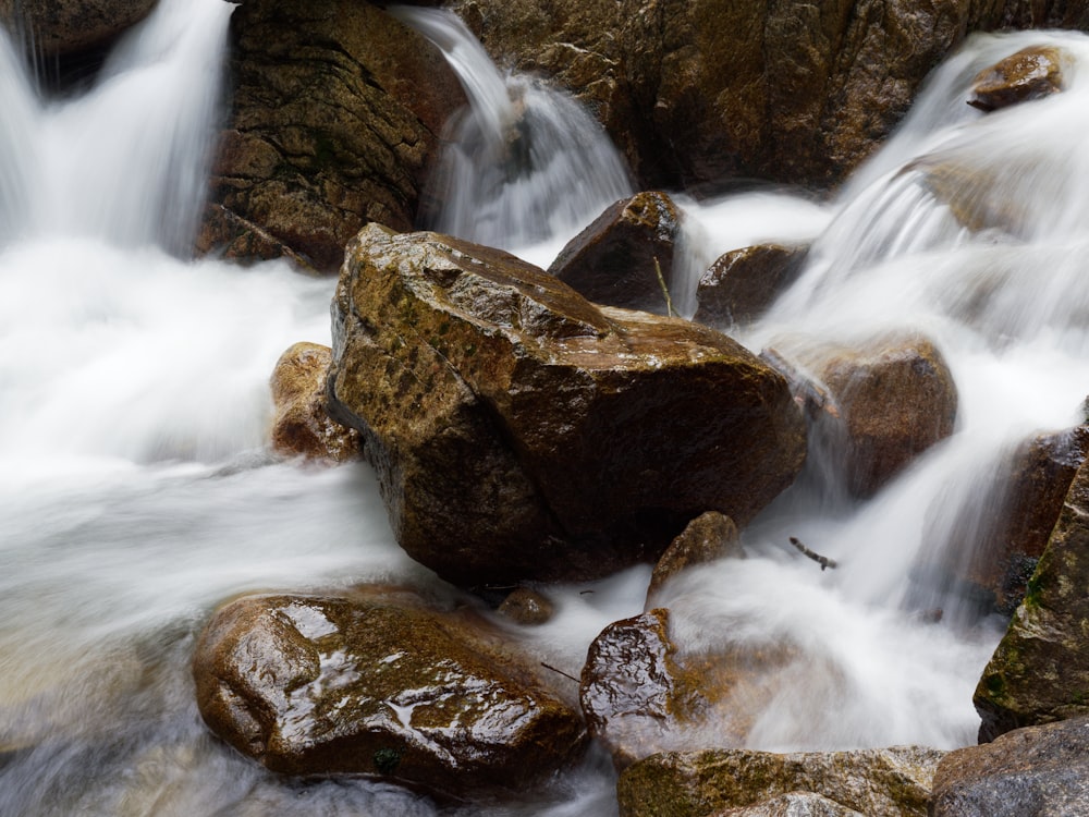 um riacho de água correndo sobre rochas em uma floresta