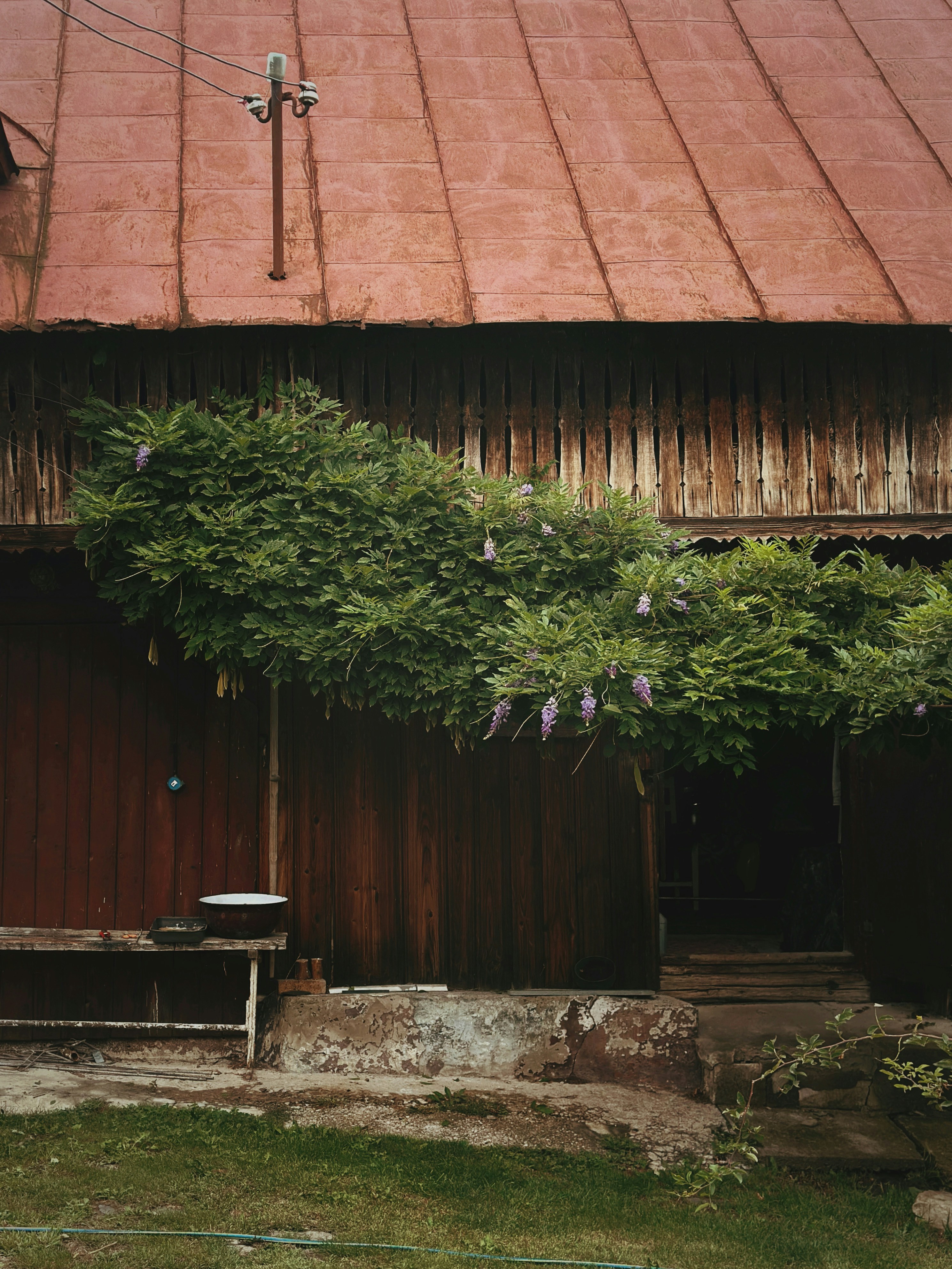 Photo by alexandraleru