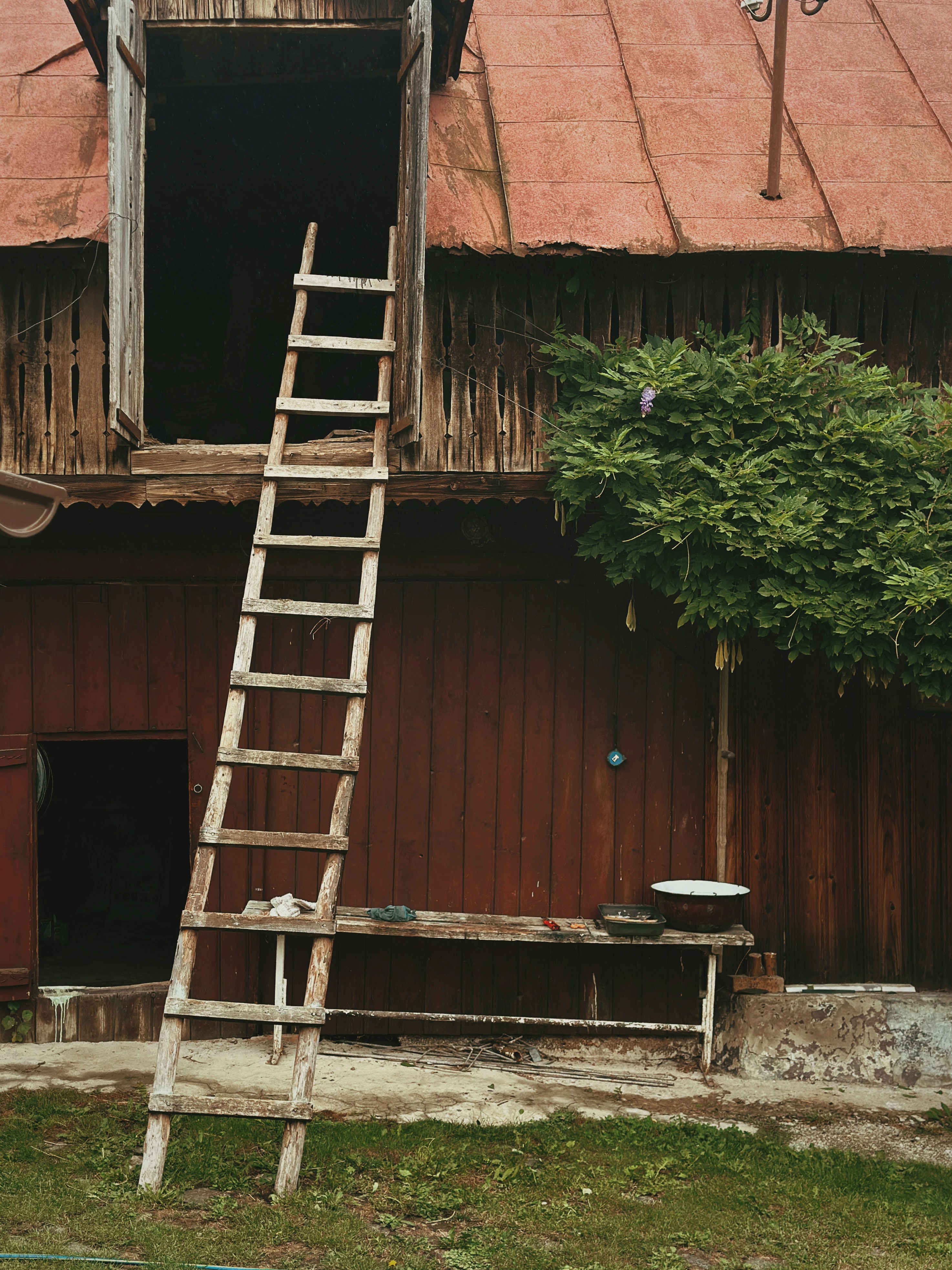 Photo by alexandraleru