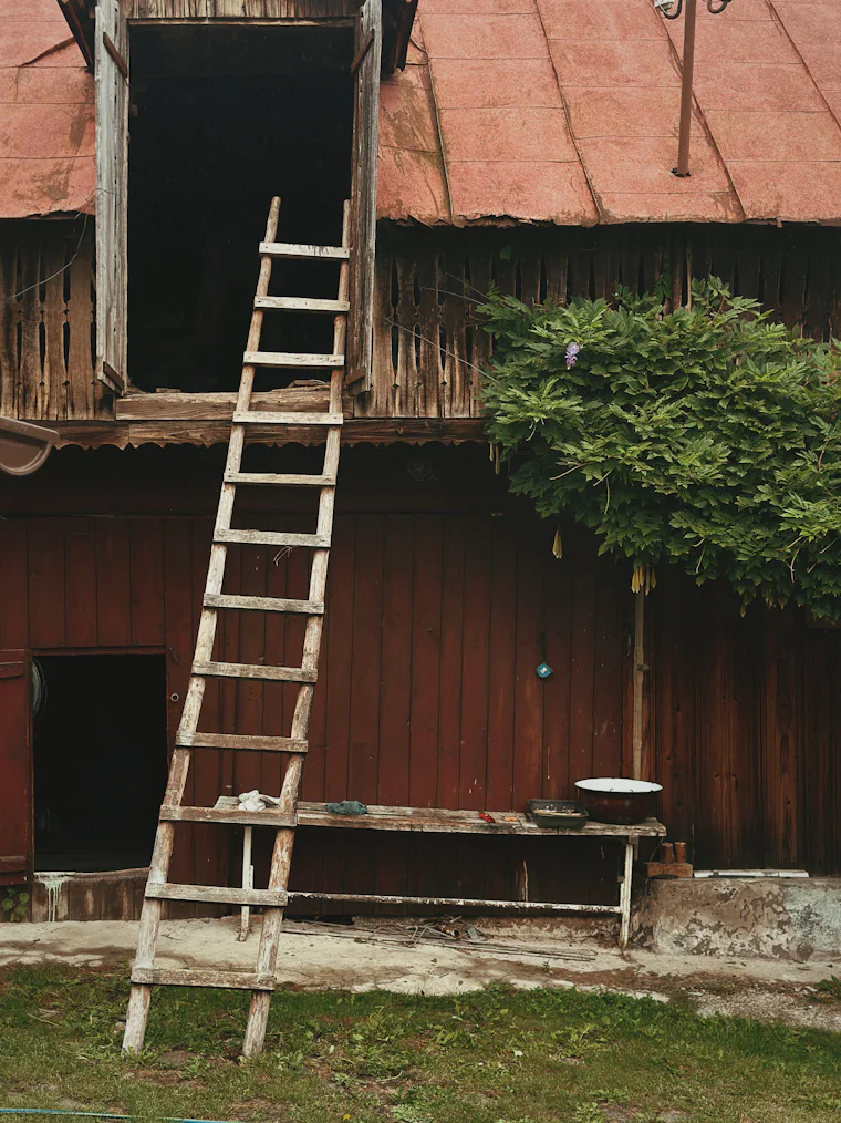 Ladder leaning against a red farm building