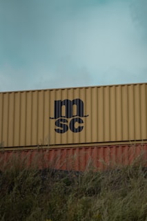 A large yellow shipping container with the letters 'MSC' on its side, stacked behind a smaller container, partially hidden by tall grass. The sky above is overcast.