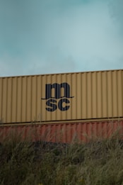 A large yellow shipping container with the letters 'MSC' on its side, stacked behind a smaller container, partially hidden by tall grass. The sky above is overcast.
