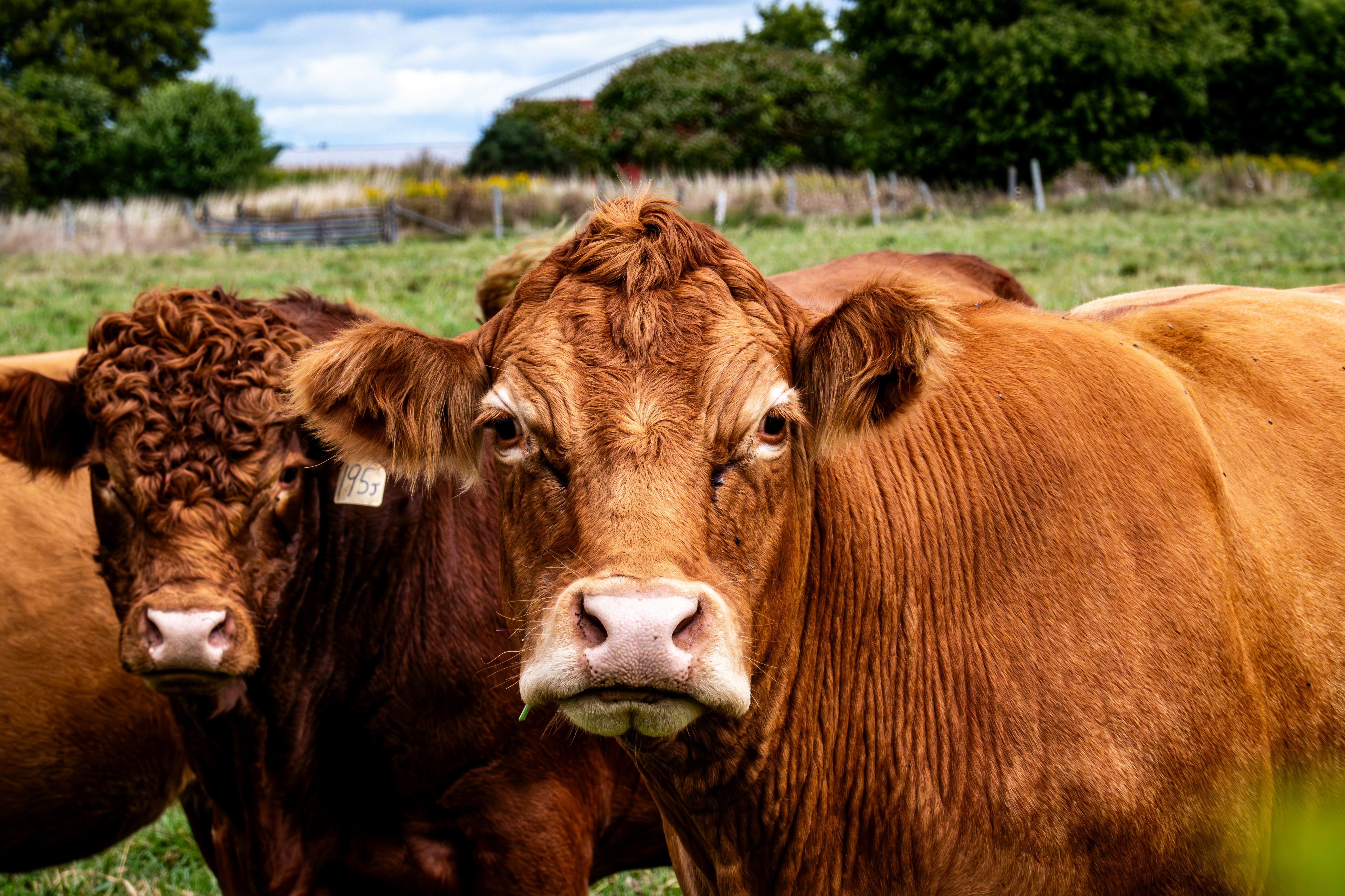 Photo by chris_robert