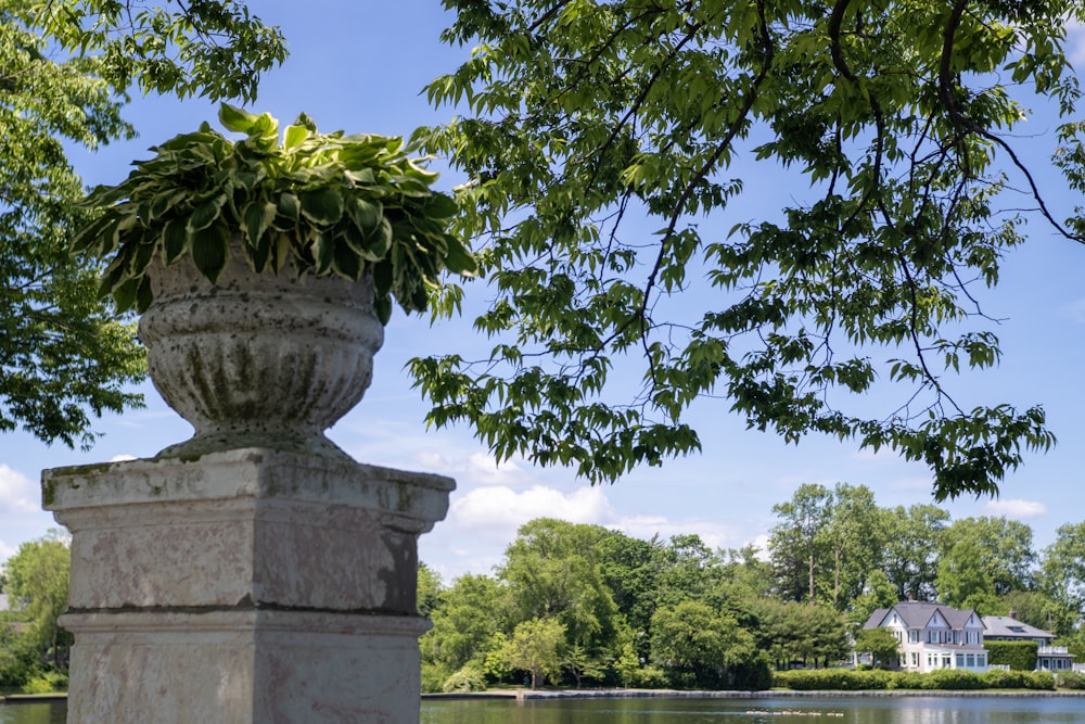 a large potted plant sitting on top of a stone pillar