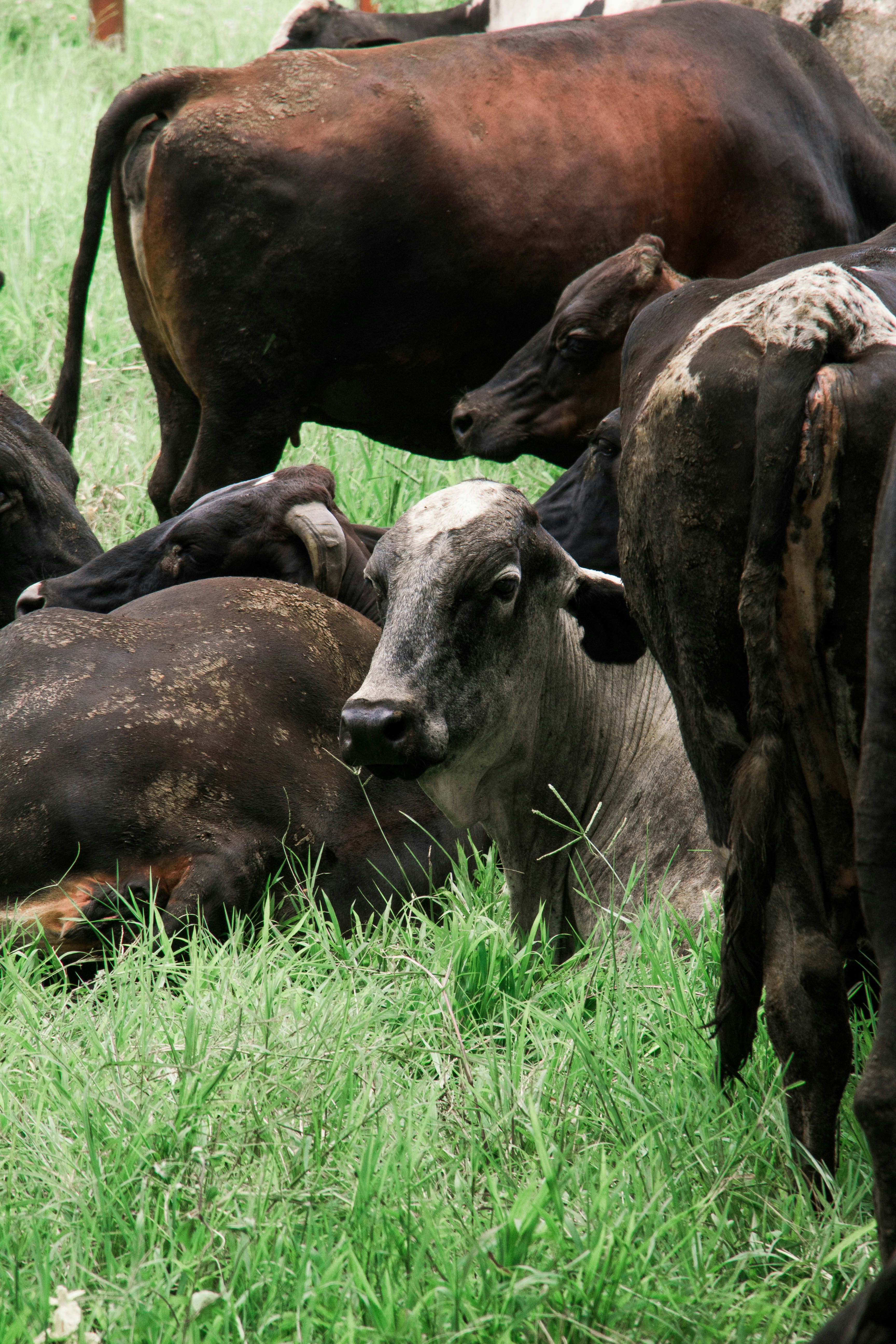 Photo by bhongbahala10