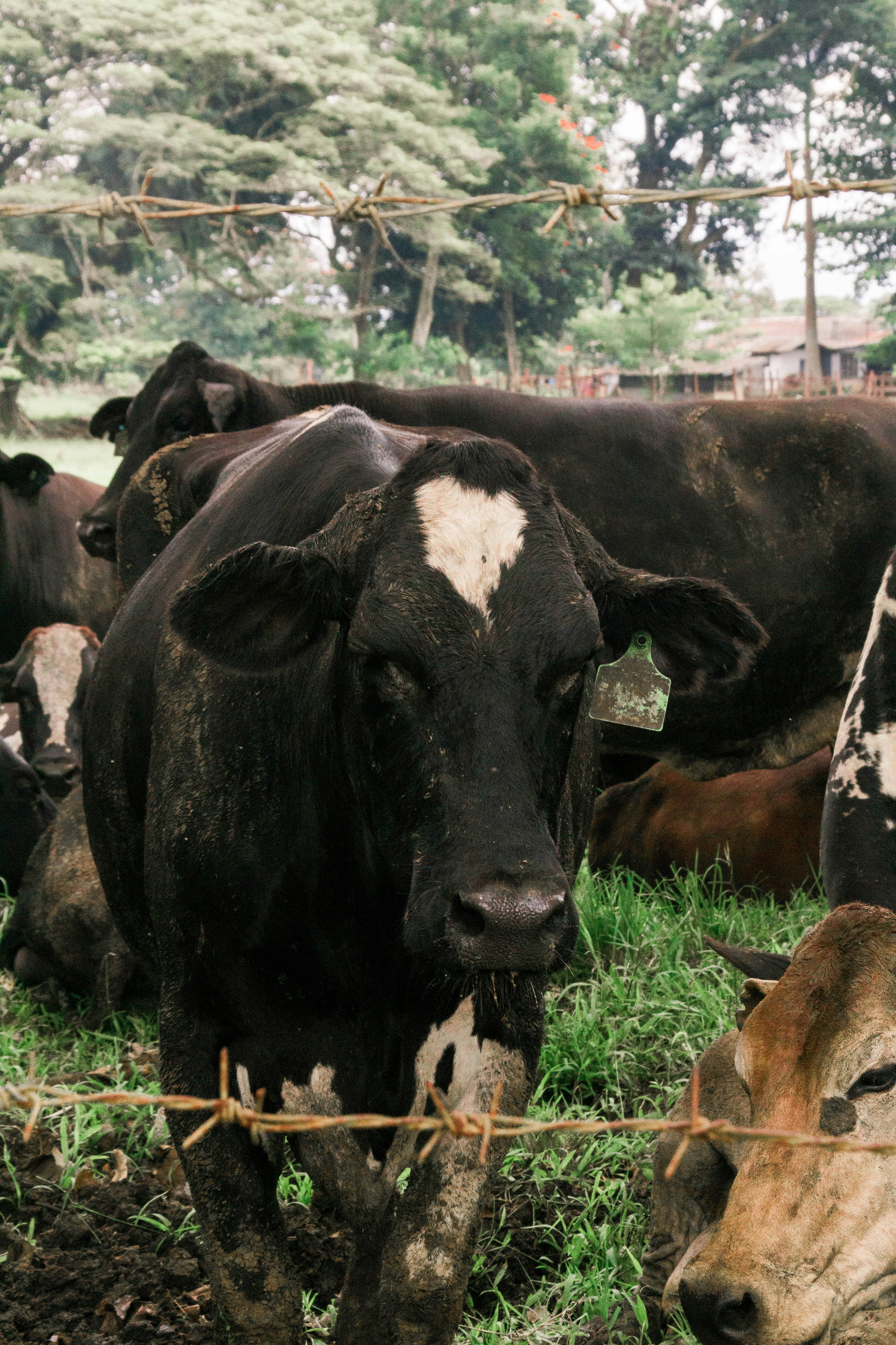 Photo by bhongbahala10