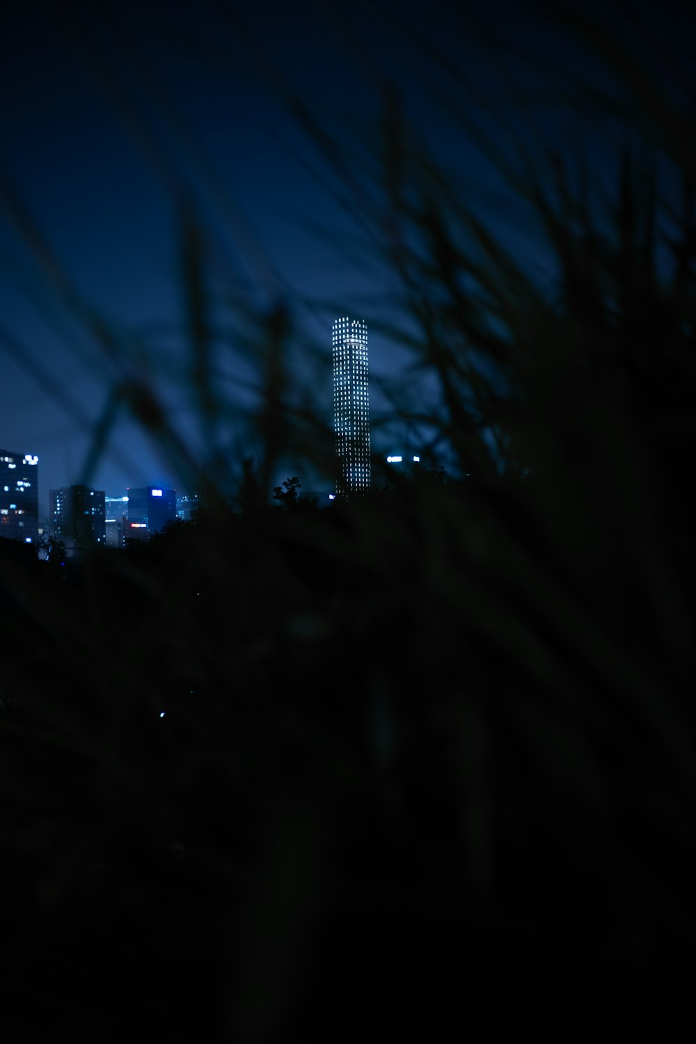 a view of a city at night from a distance