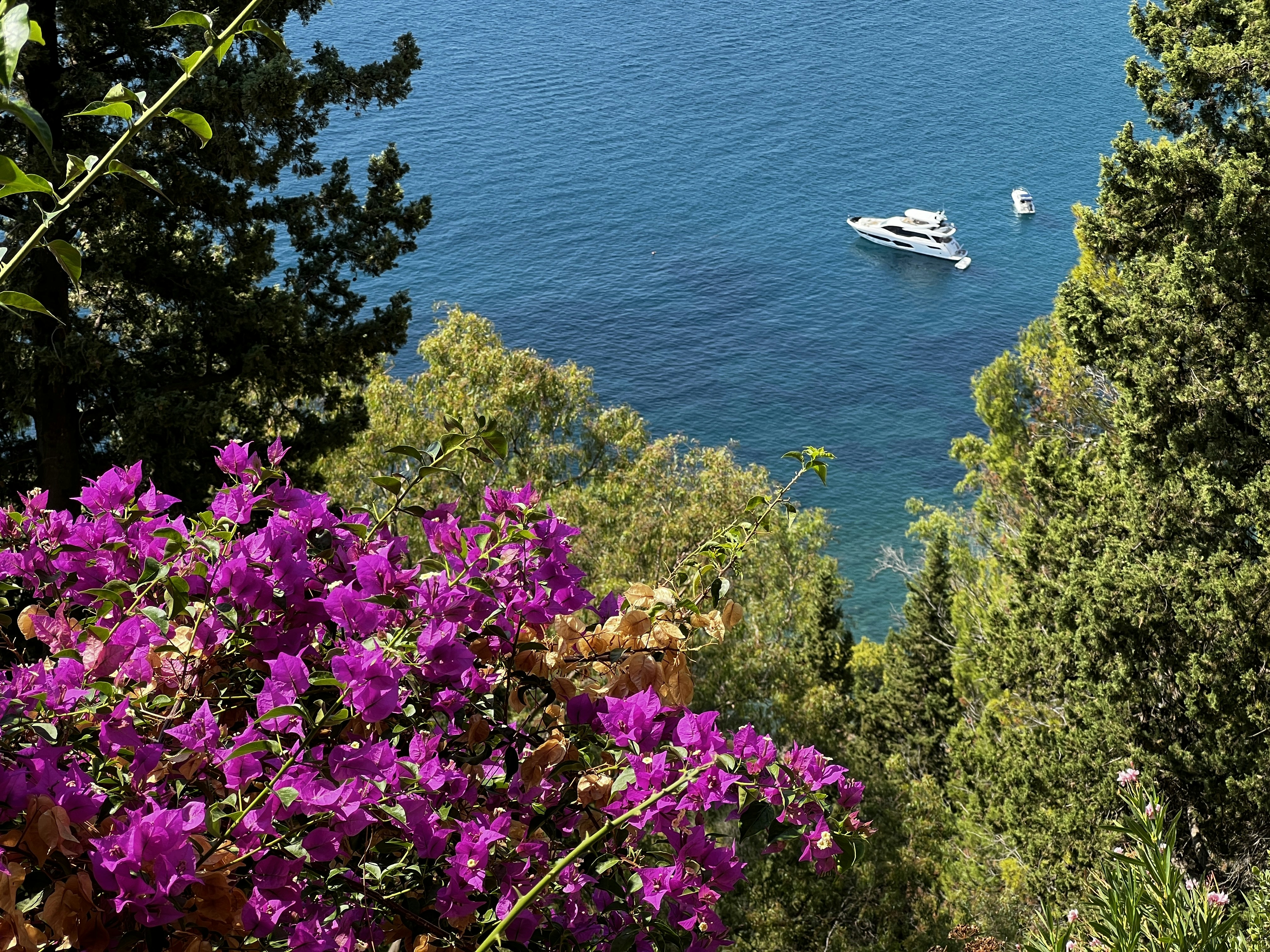 Image by Bogdan Bararu via Unsplash