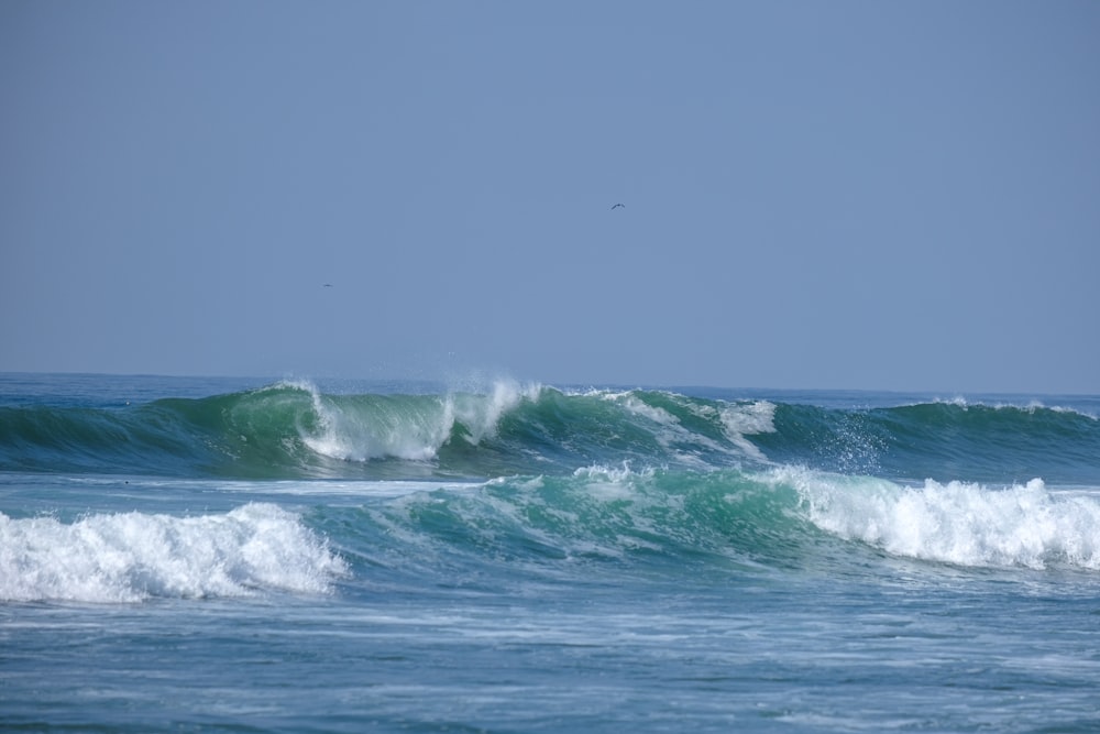 Una persona che cavalca un'onda in cima a una tavola da surf