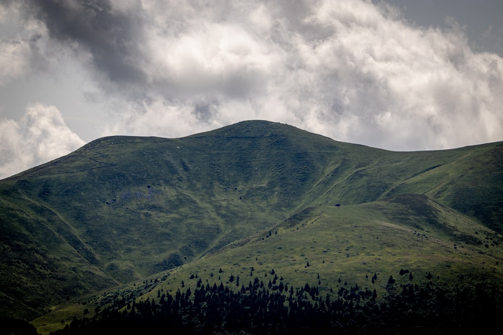 a large green mountain with trees on it