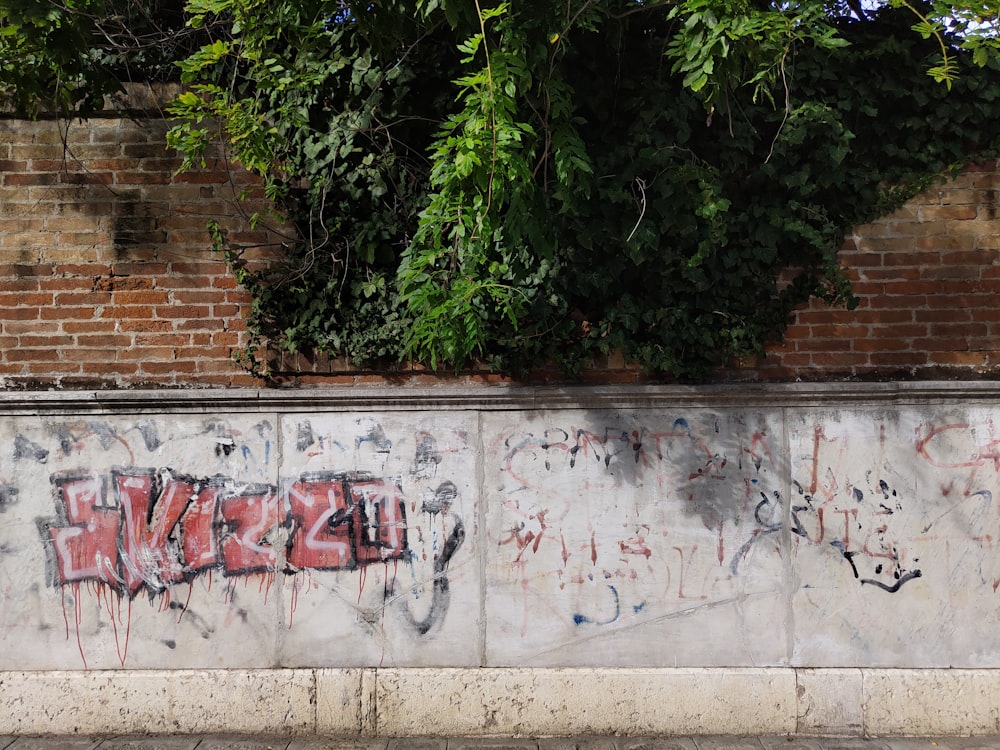 a wall covered in graffiti next to a tree