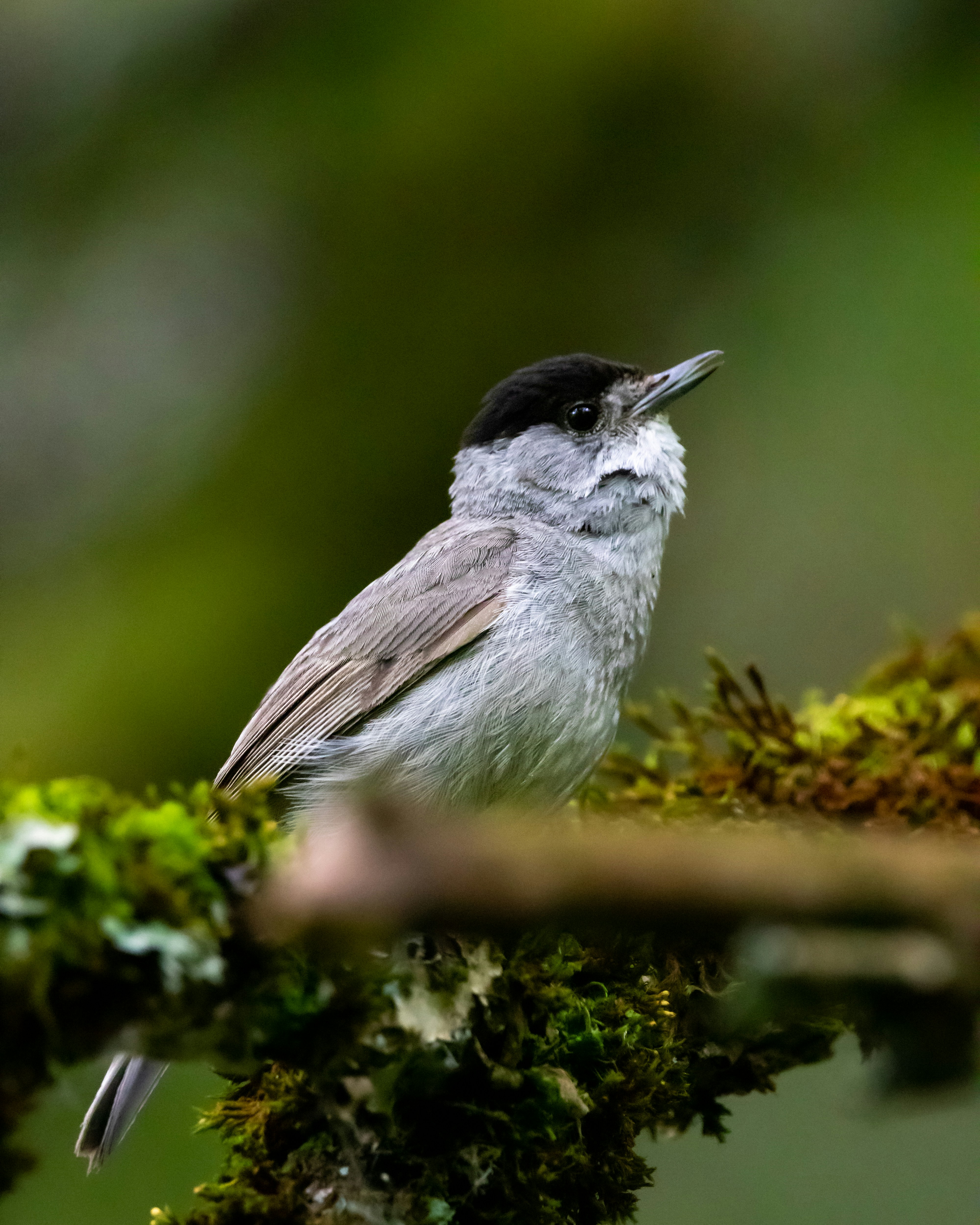 Photo by matthieur68