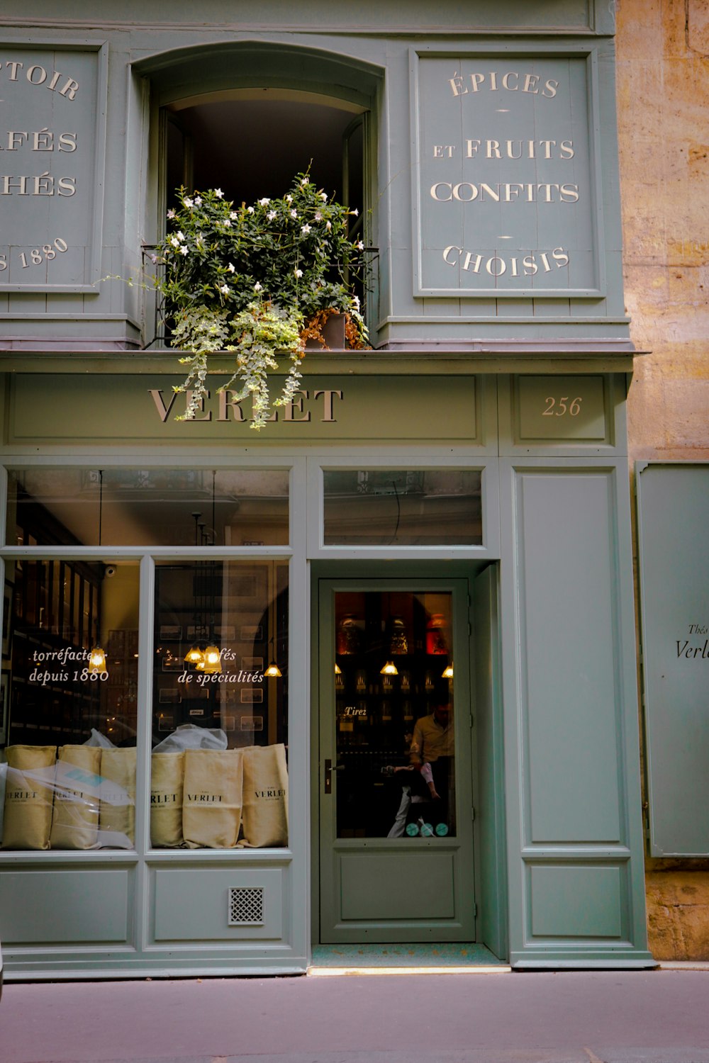 a store front with a plant in the window