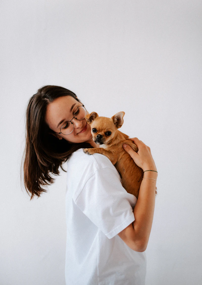 Groomer caring for dog