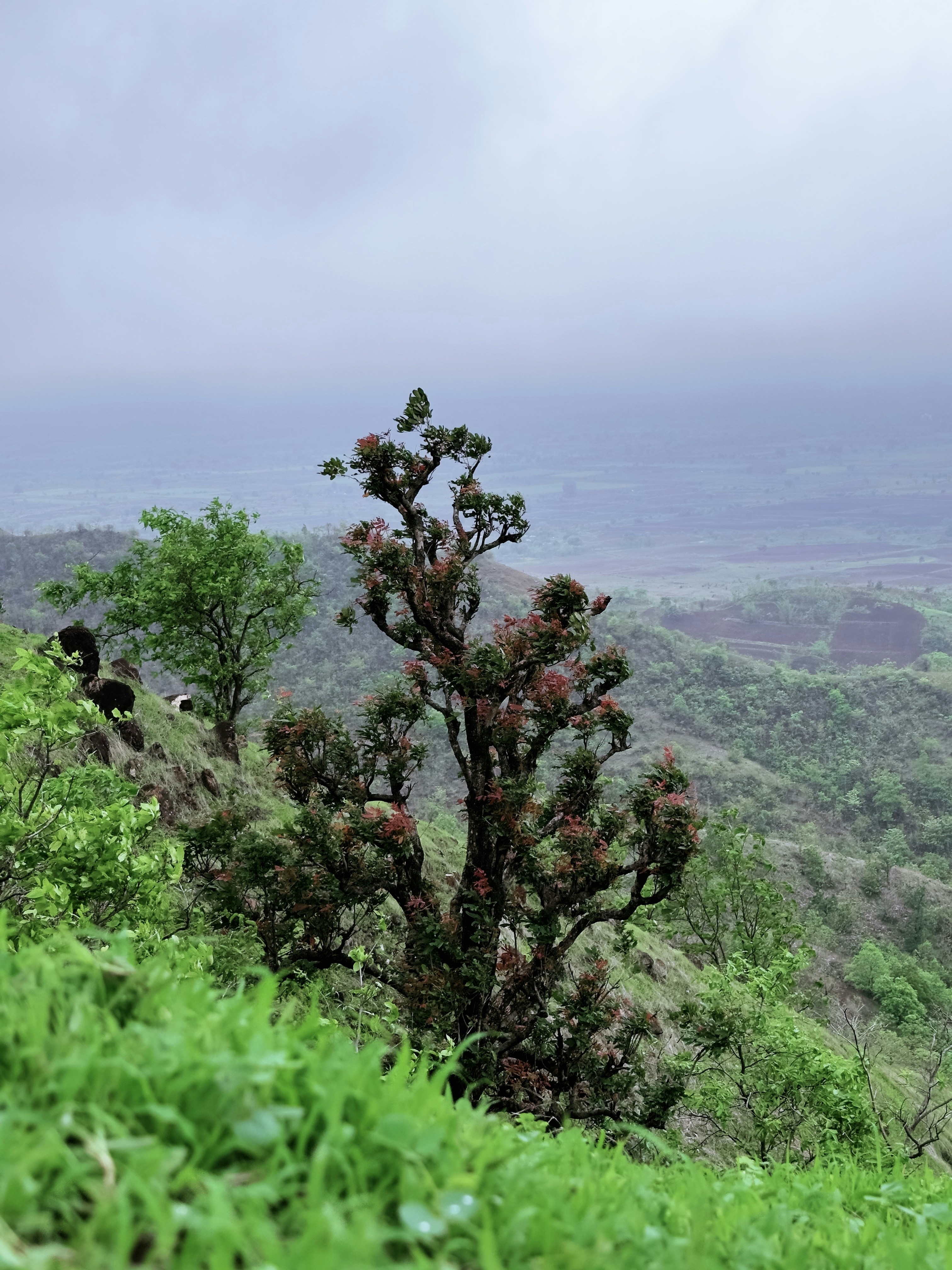 Photo by swapnil_vasave