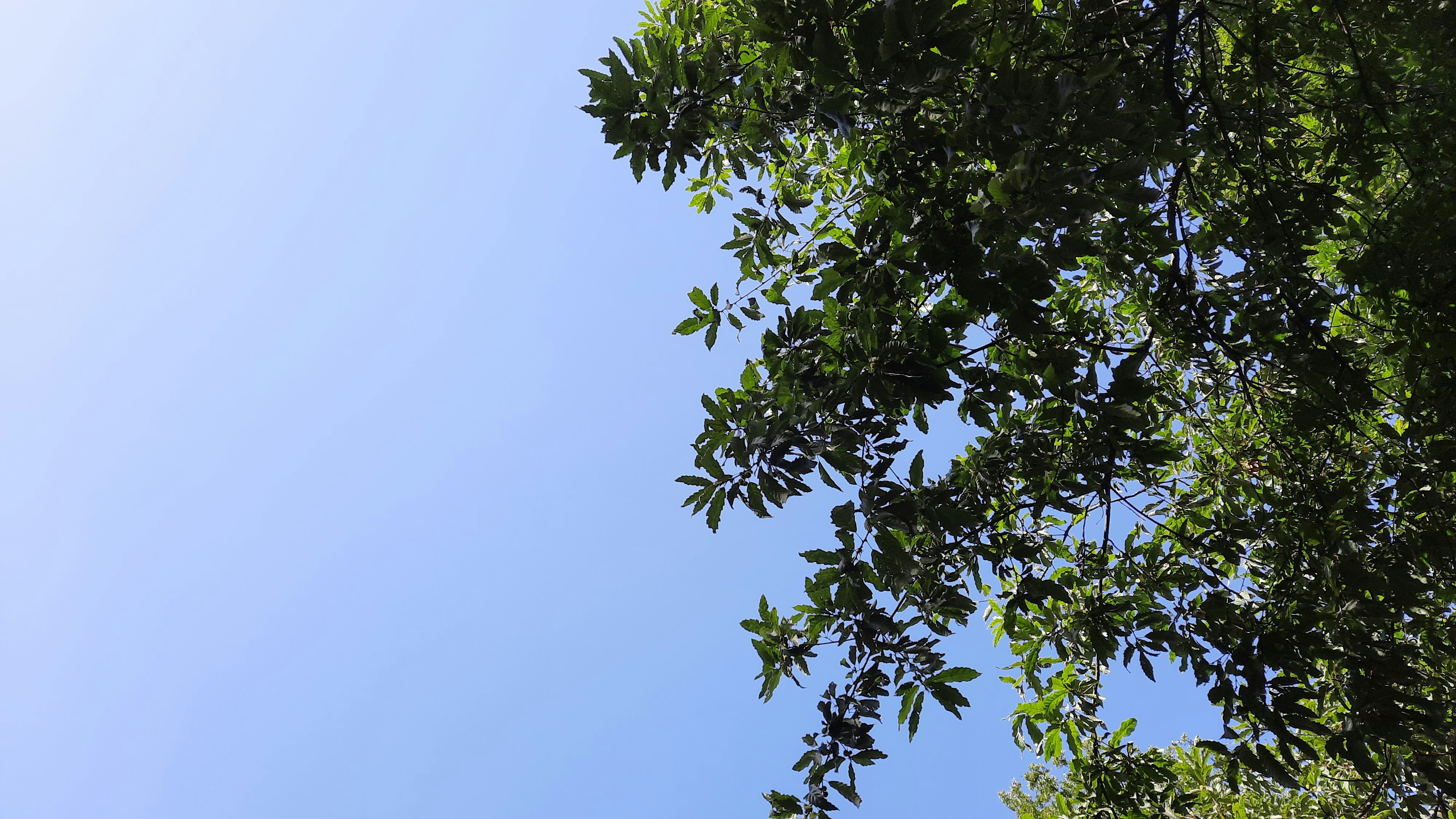 Photo by ali_sheikh_b