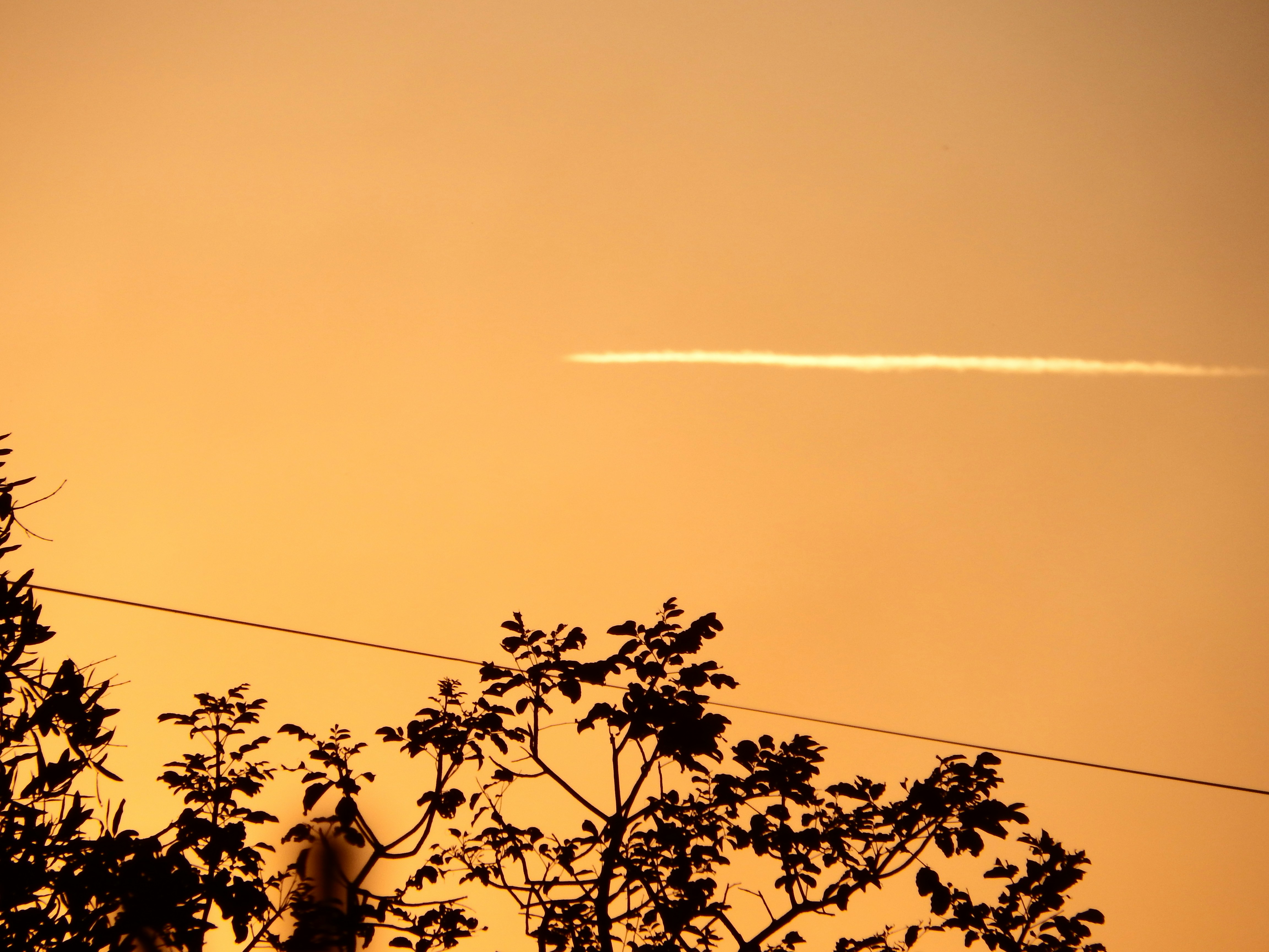 a plane is flying in the sky over some trees