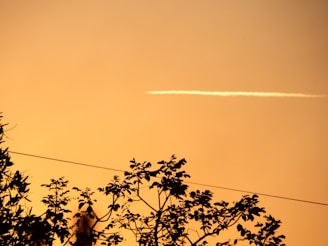 a plane is flying in the sky over some trees